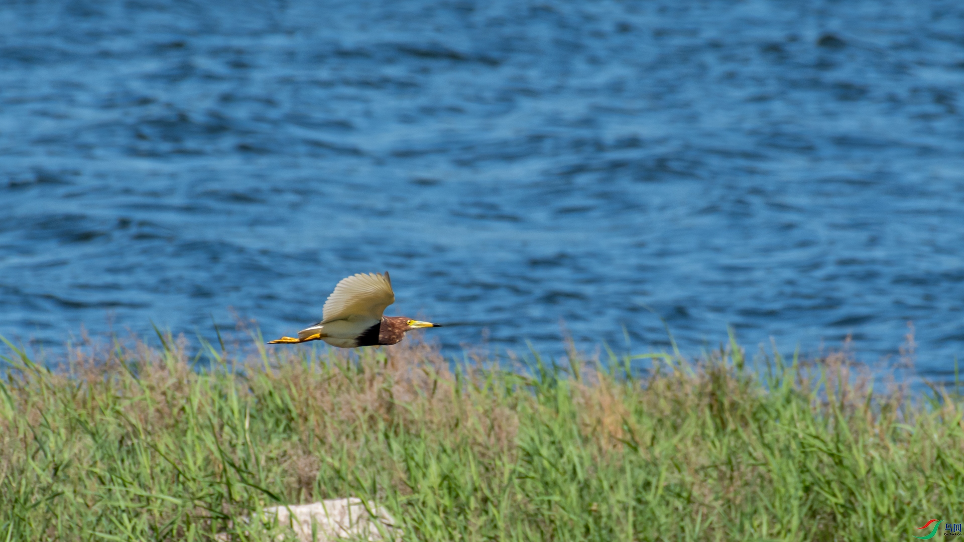 _DSC8280.jpg