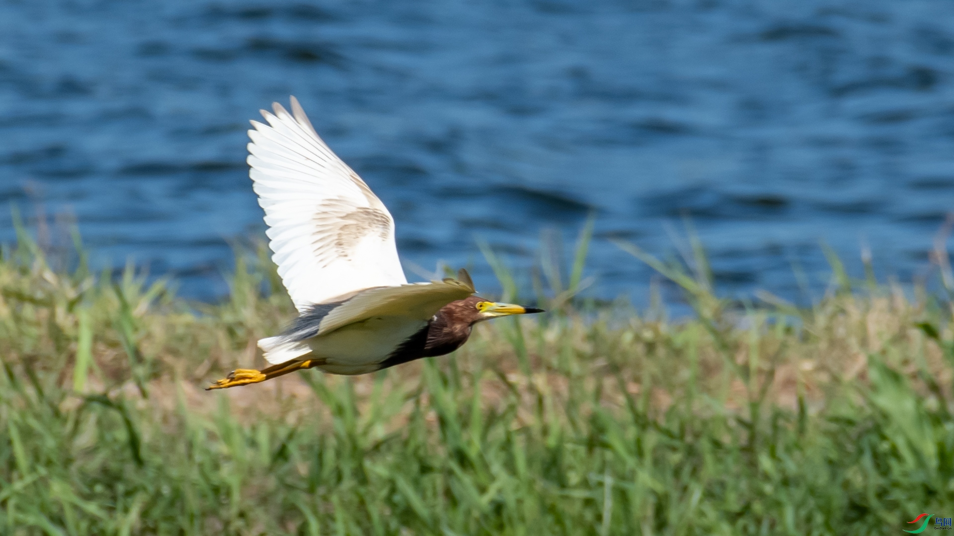 _DSC8284.jpg