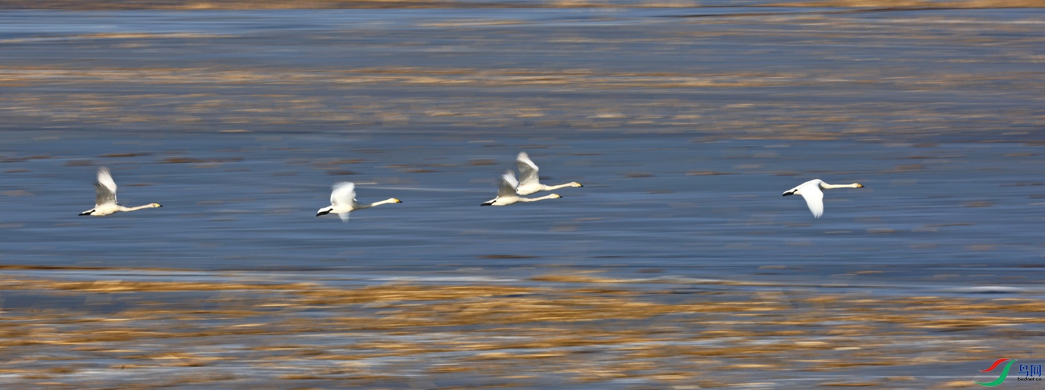 108A8170-1-1.jpg