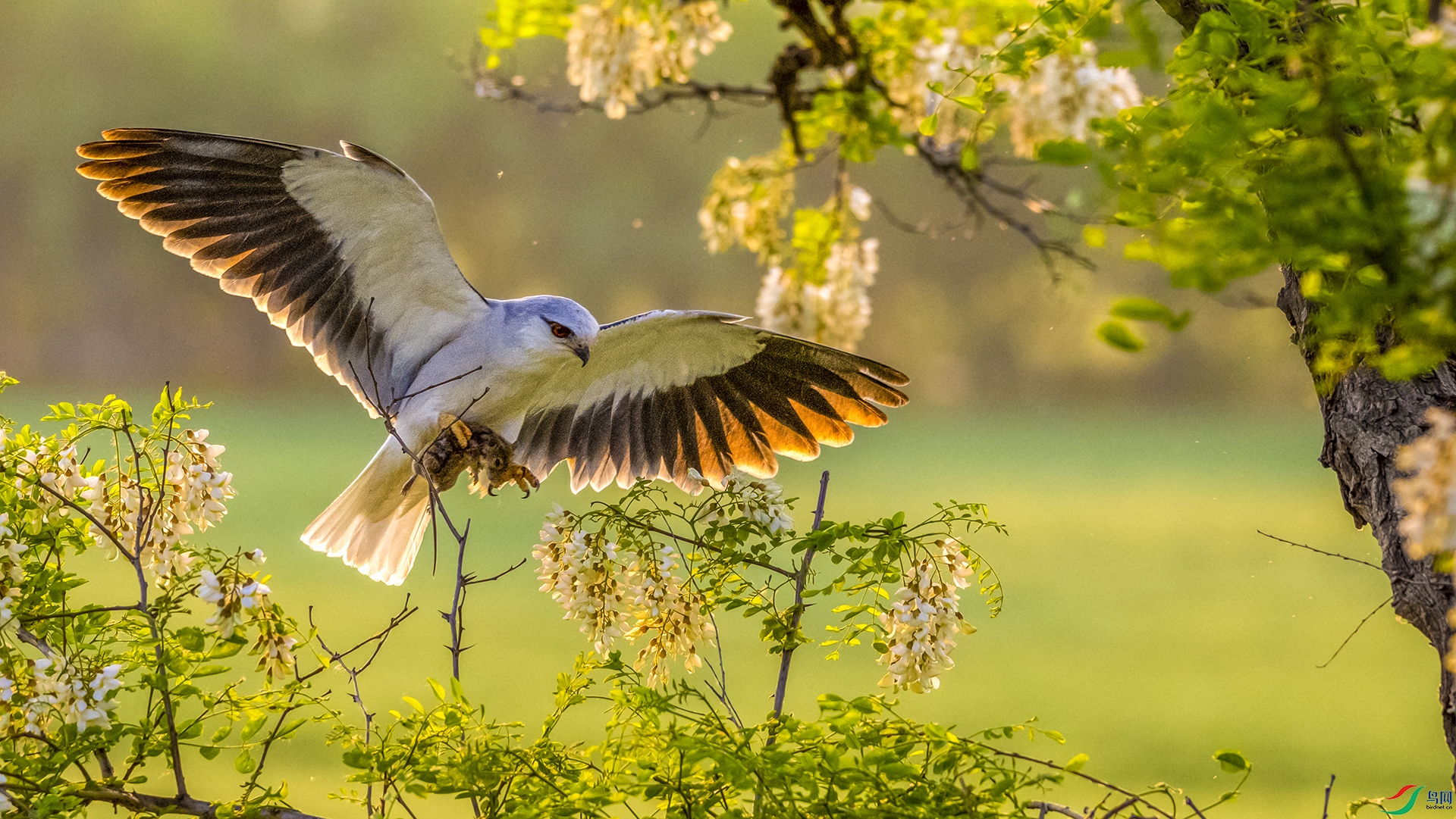 _DSC8061  �ǳ�����.jpg