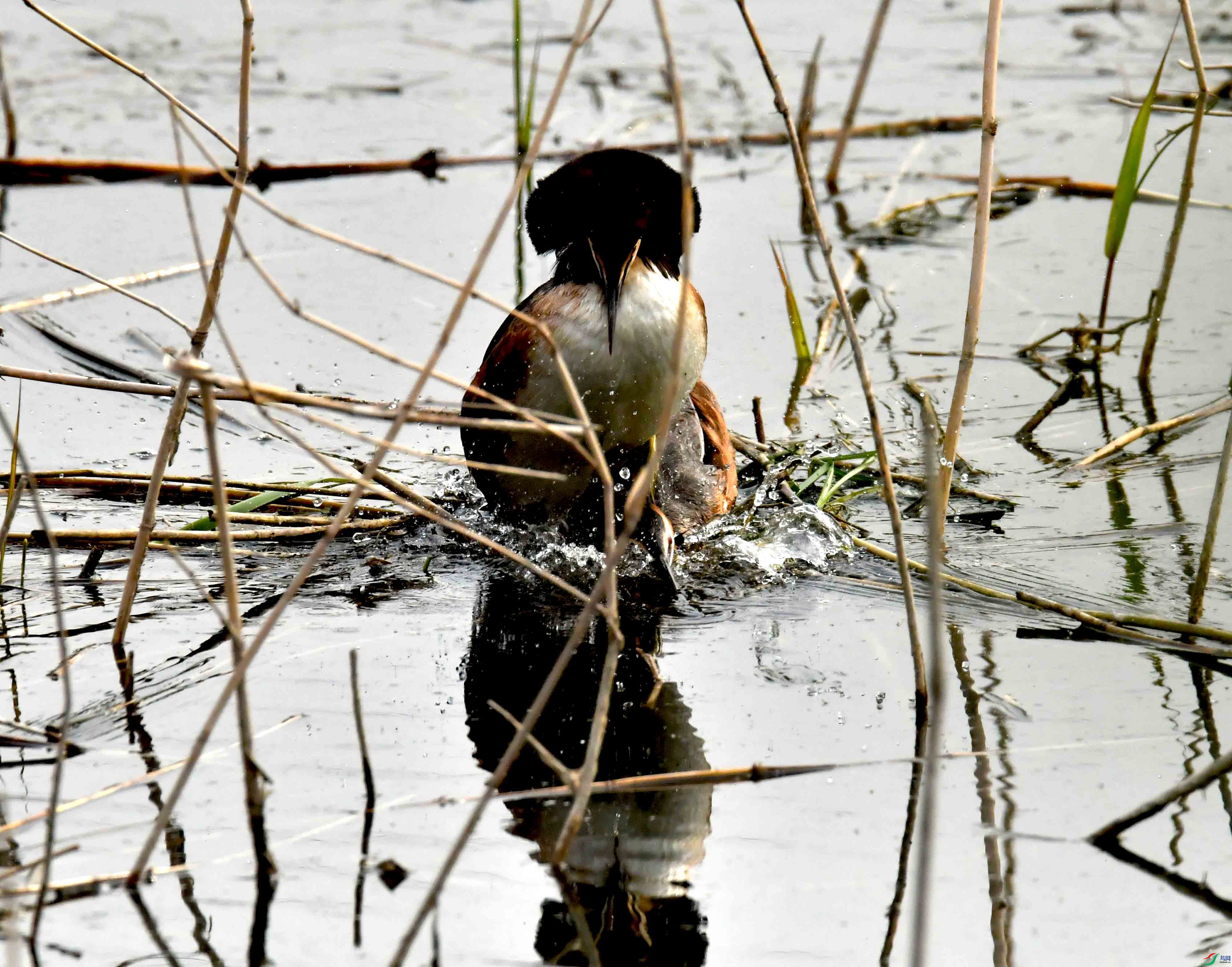 DSC_9570.JPG