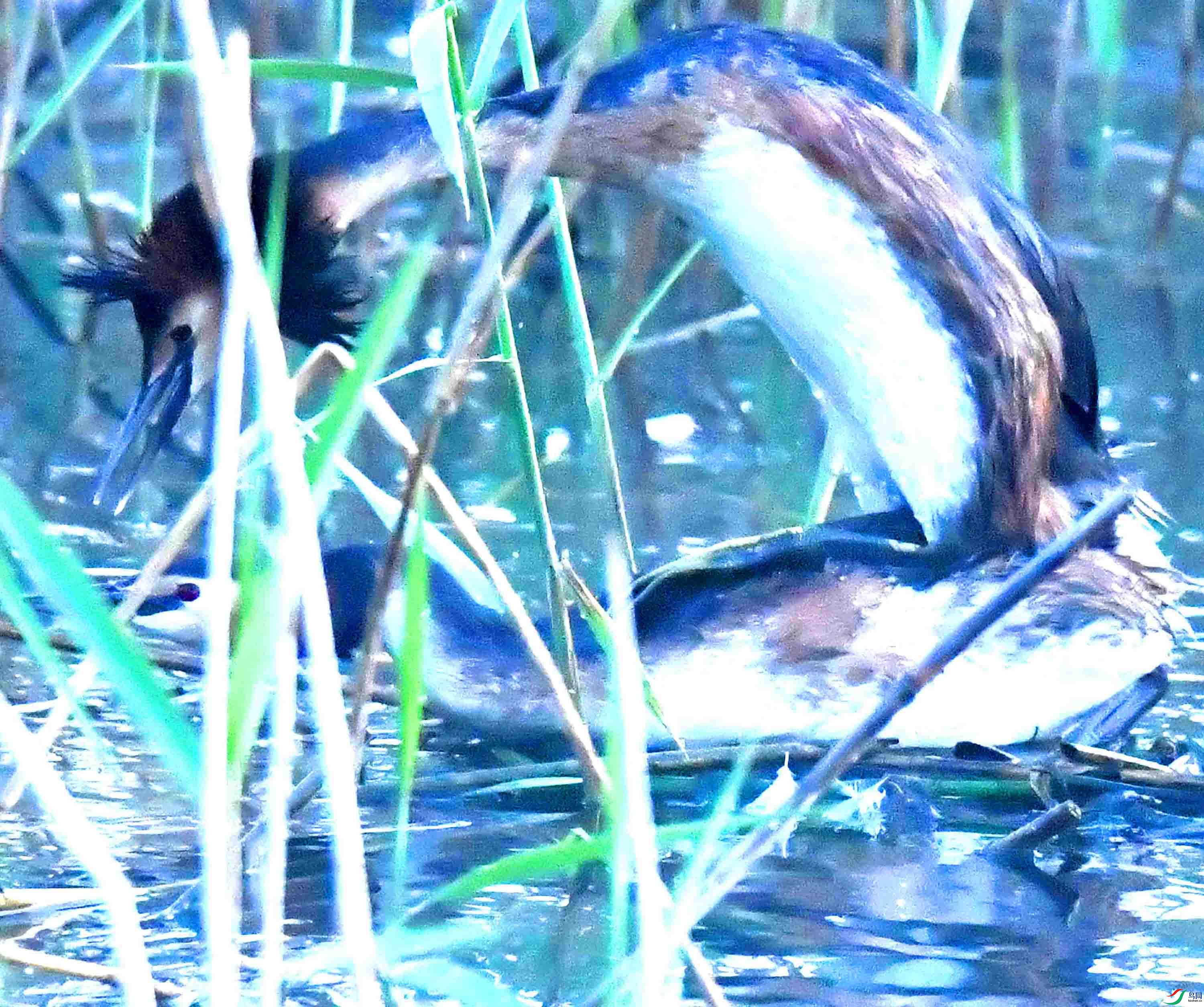 DSC_9923.JPG