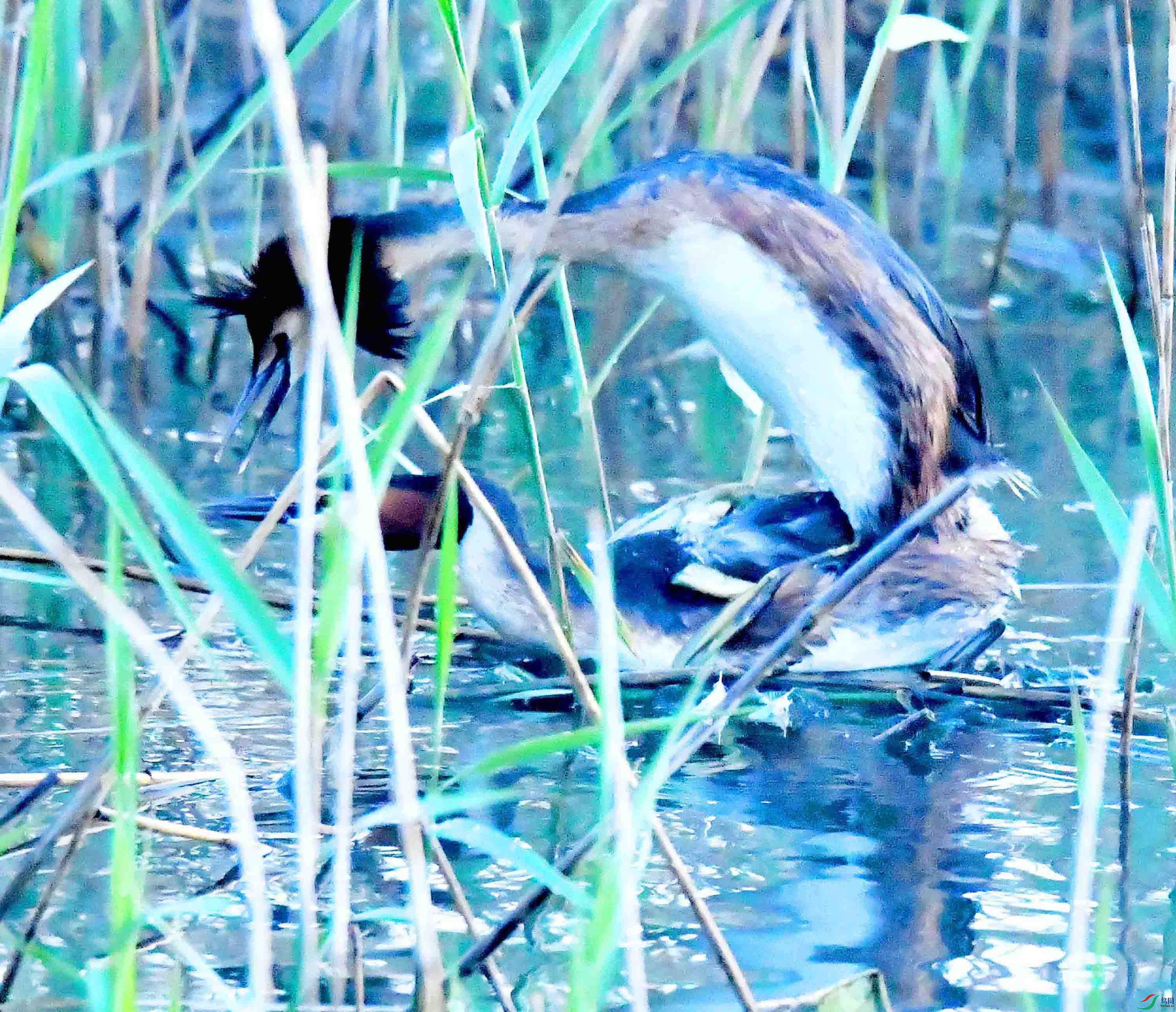 DSC_9926.JPG