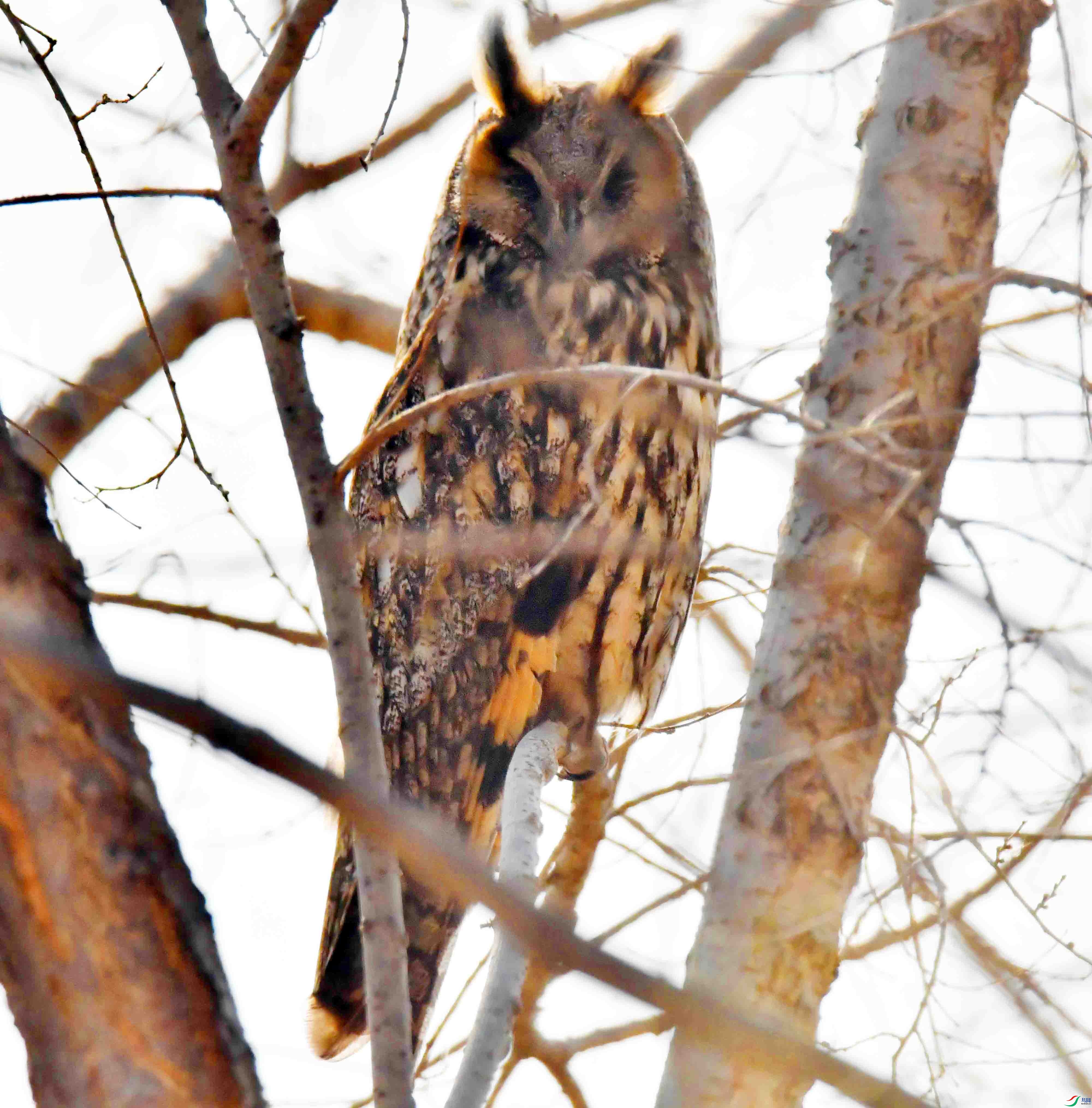 DSC_5146.JPG