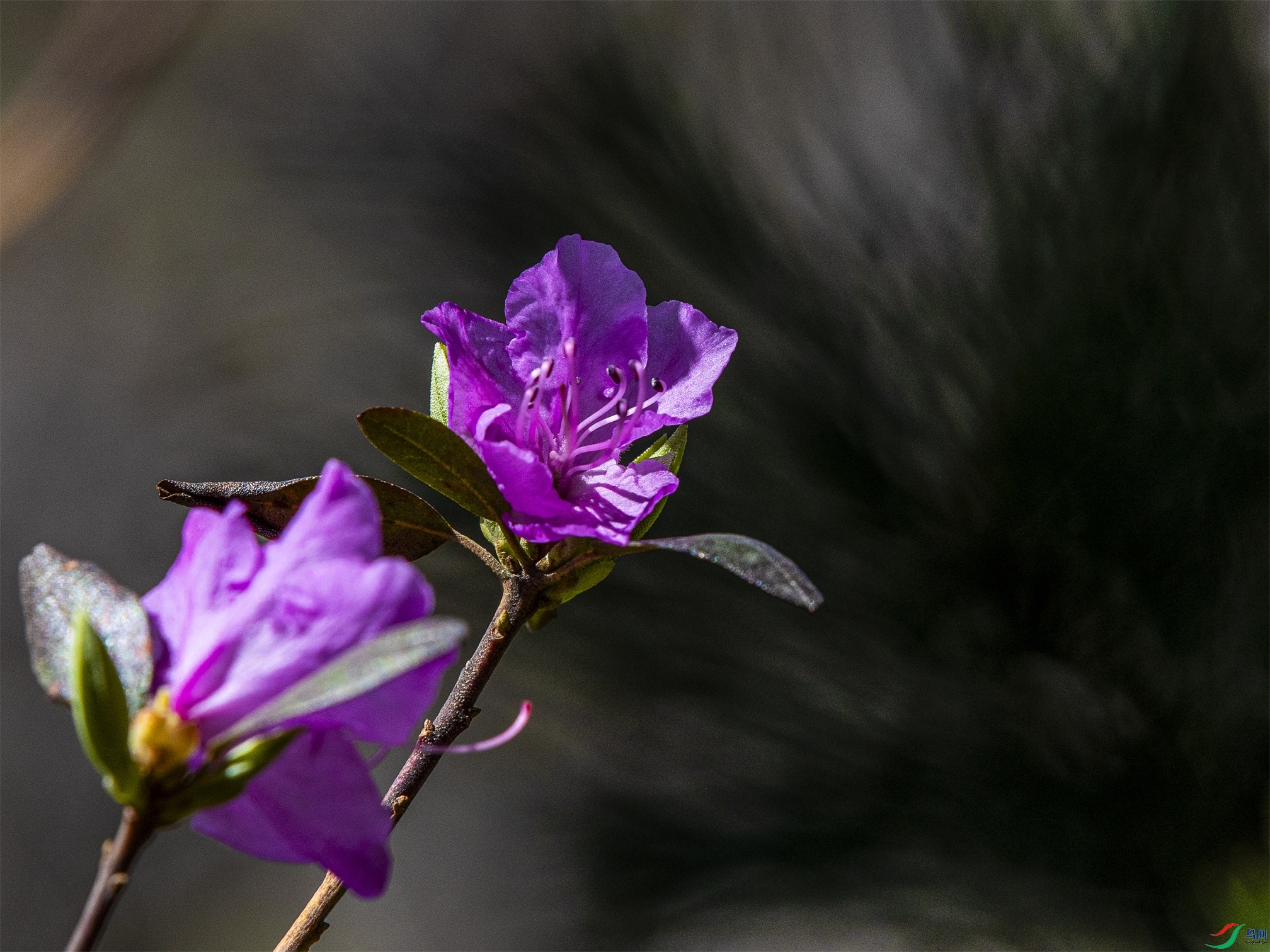 CY4A6101 ����1.jpg