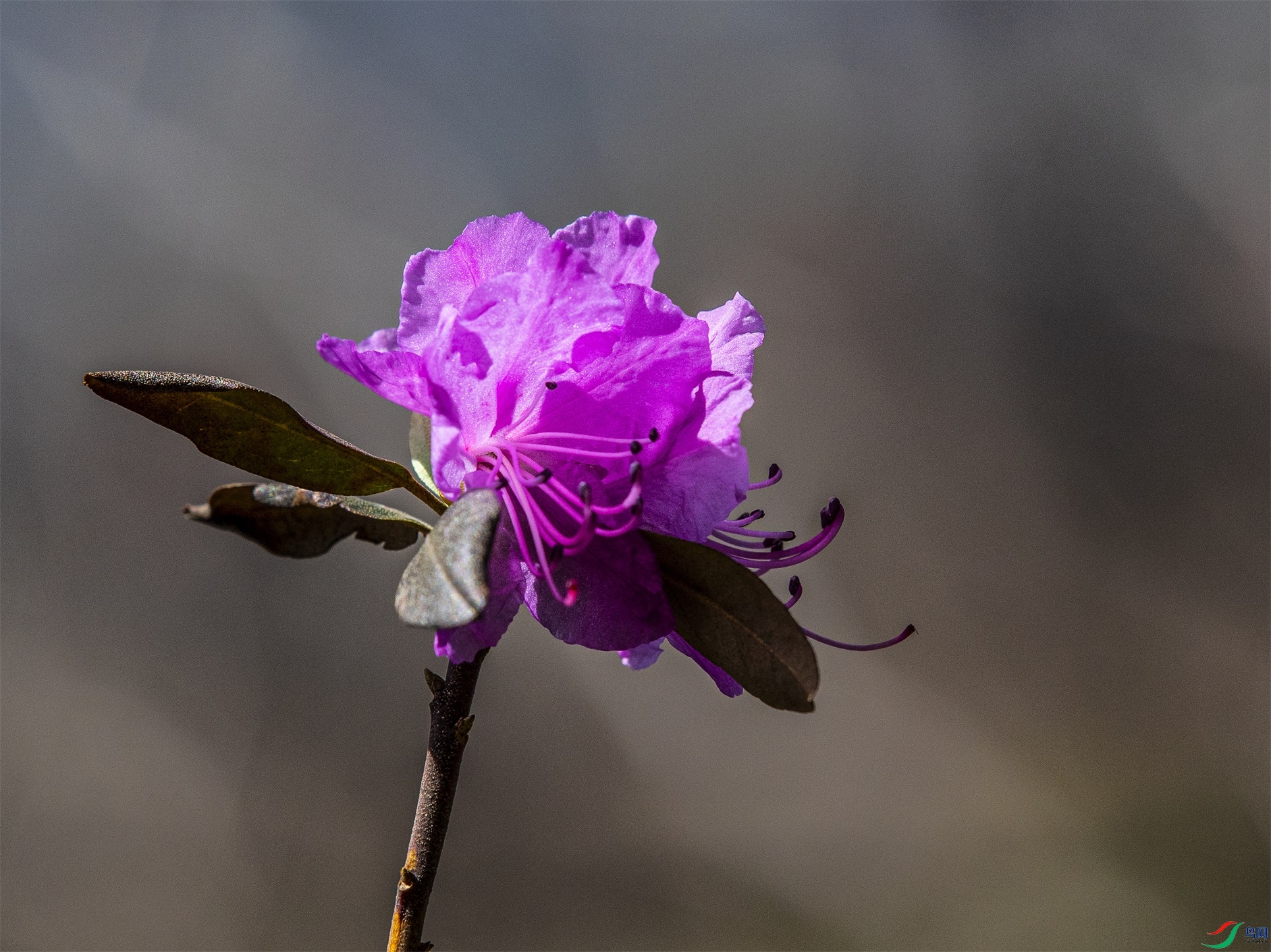 CY4A6089 ����1.jpg