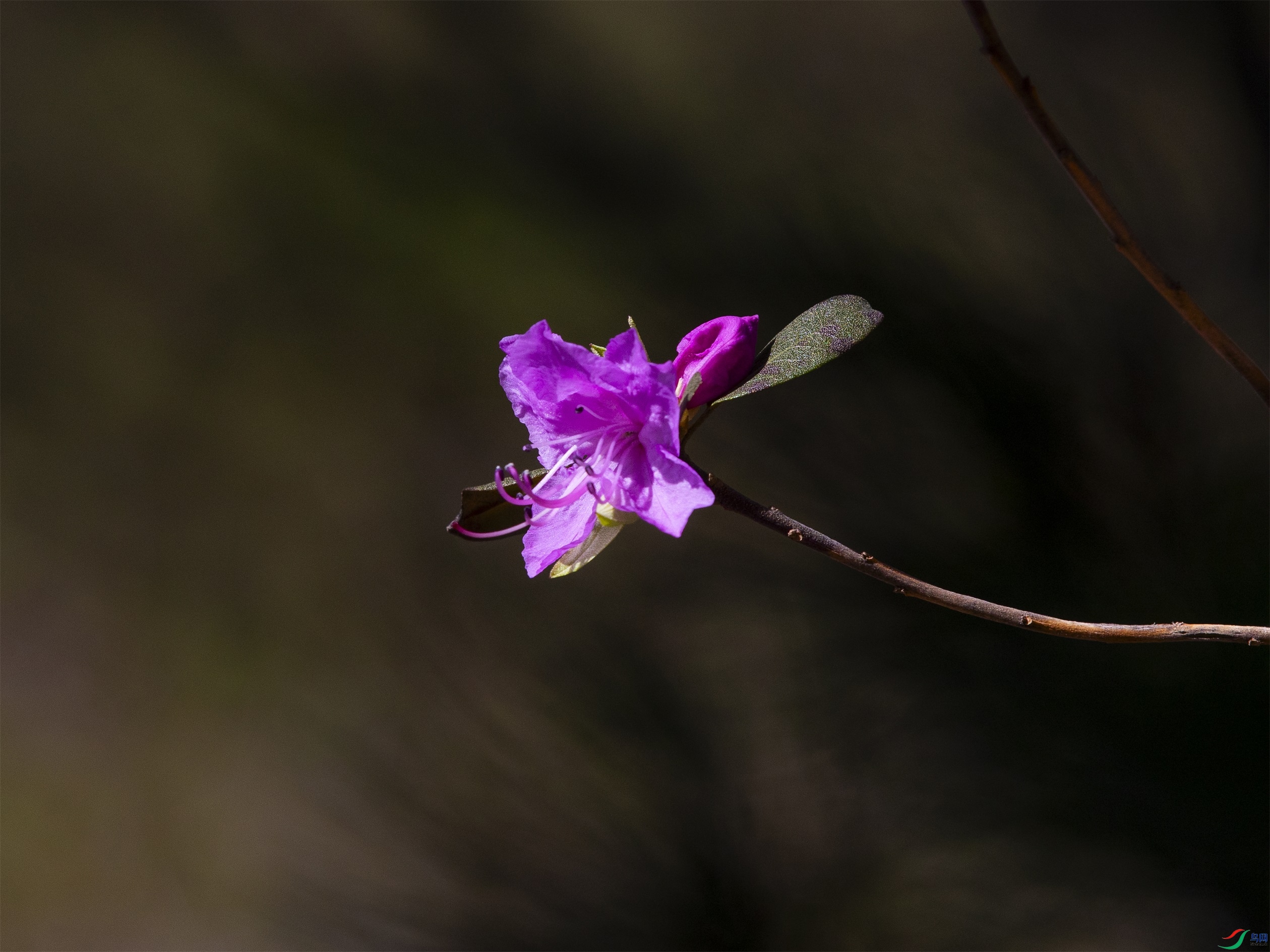 CY4A6099 ����1.jpg