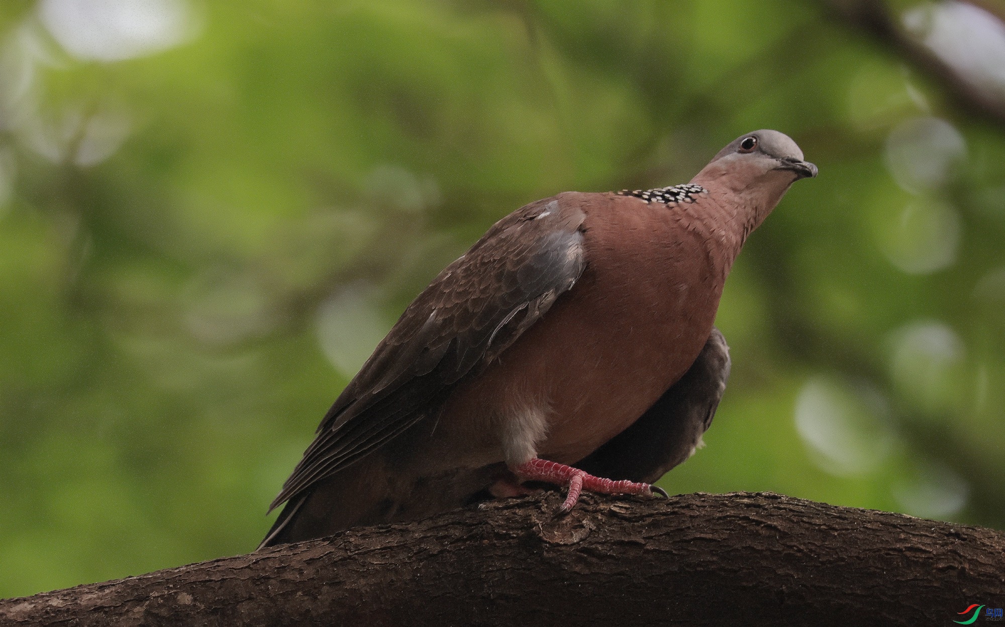 ������Ϣ