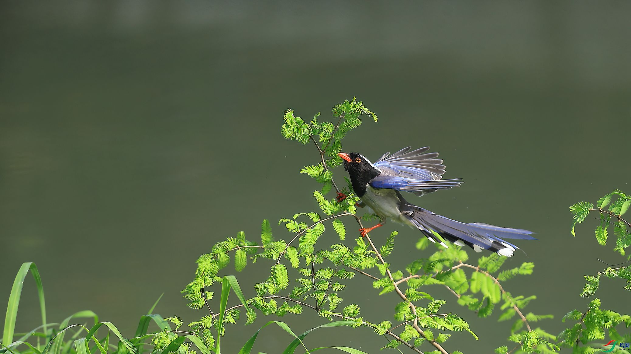 B43I9823-SharpenAI-Motion.jpg