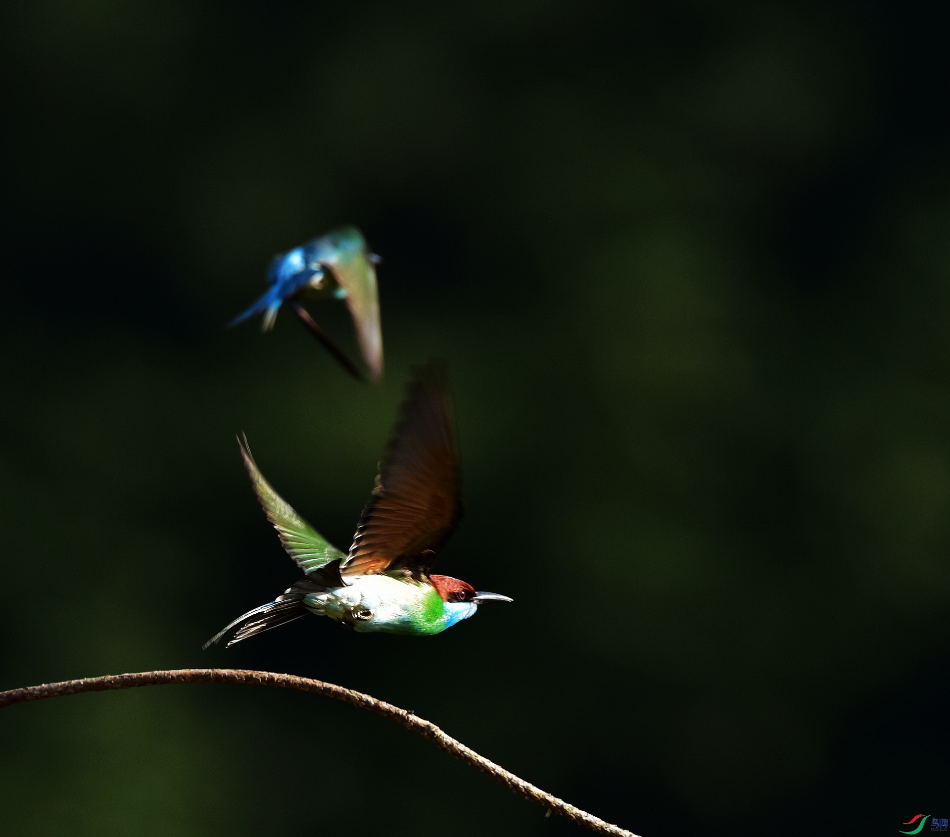 D8I_5500.jpg