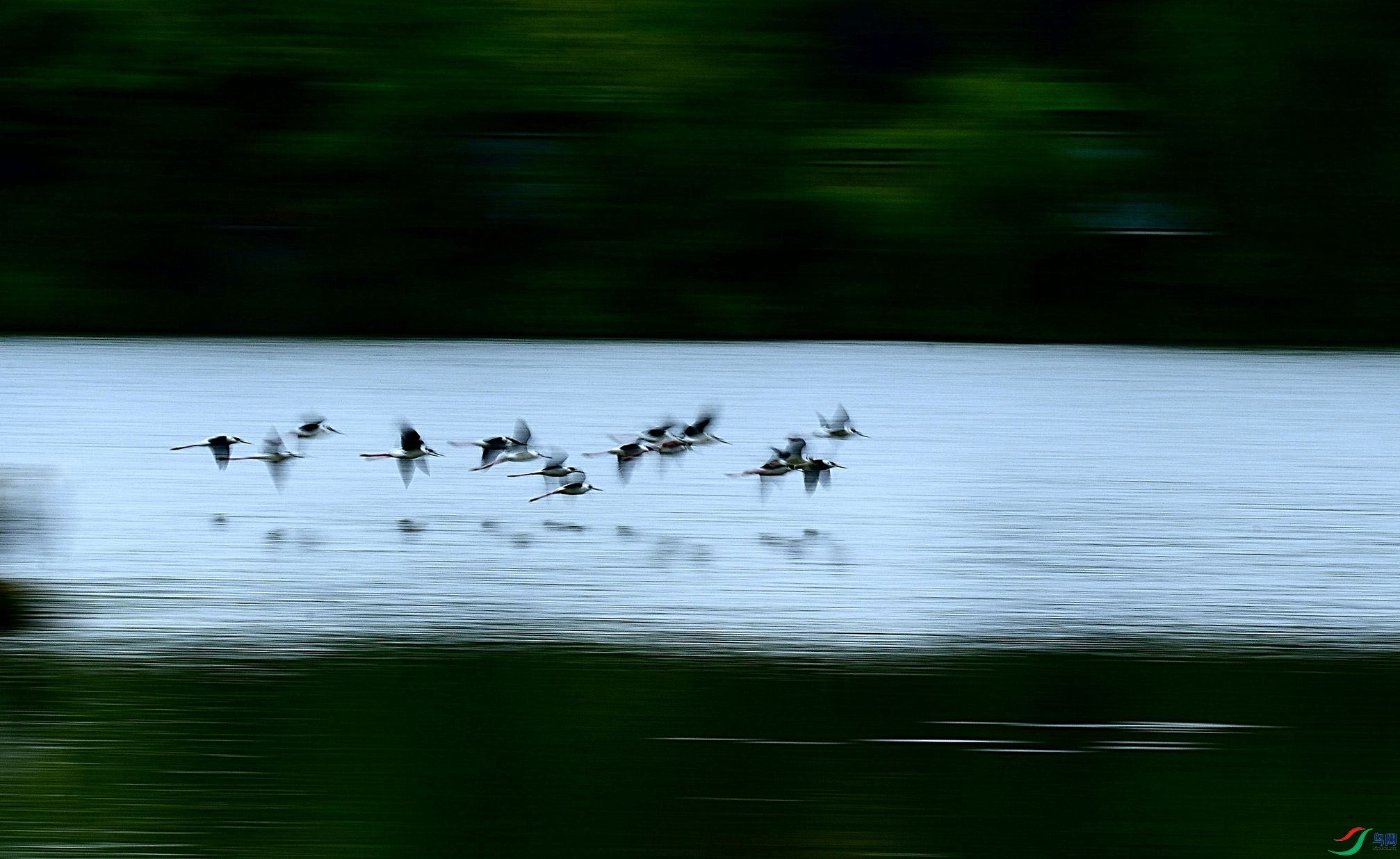 _DSC5282-.jpg