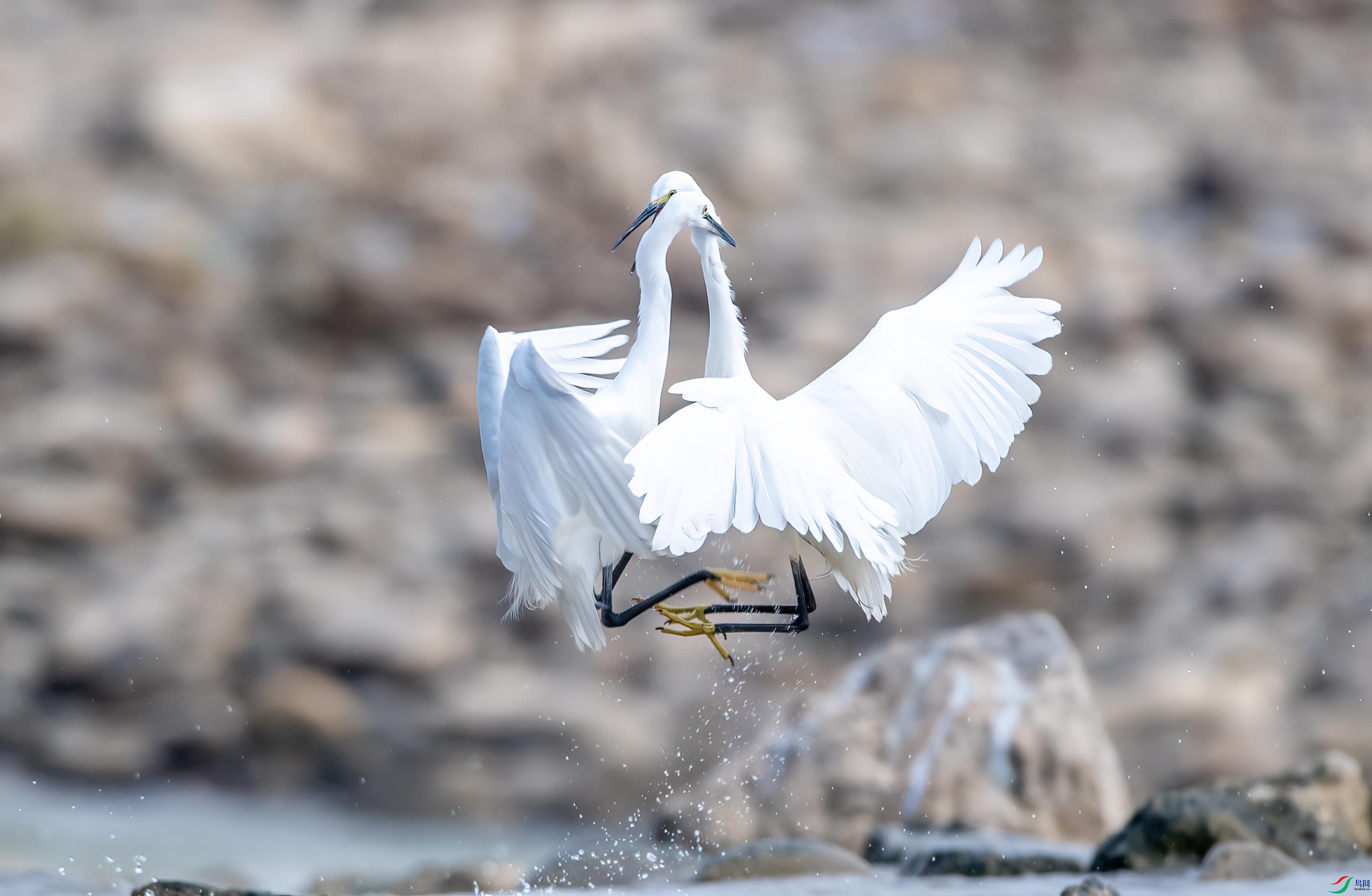 DSC_5545 ����.jpg