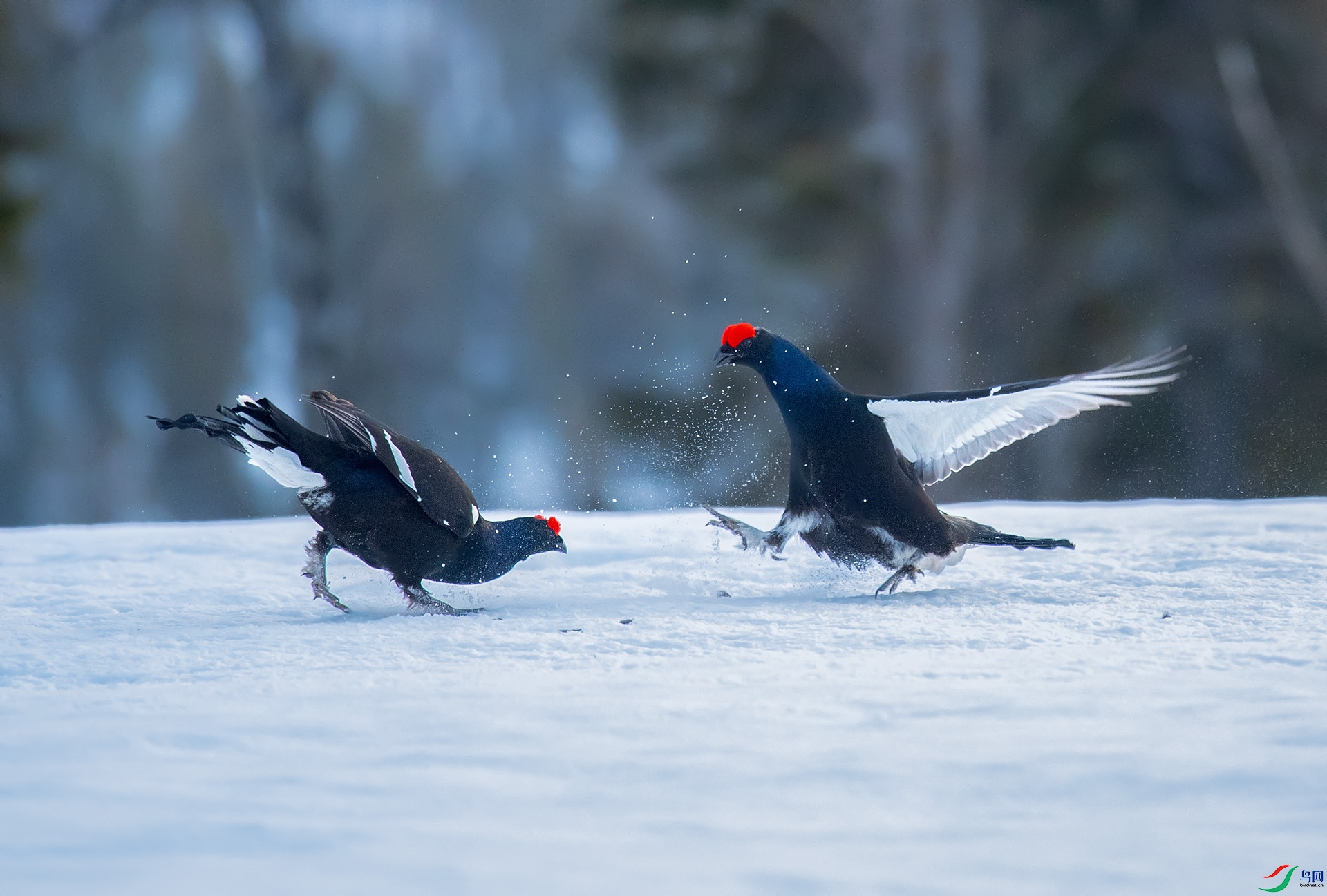 DSC_2802 ��ؐ.jpg