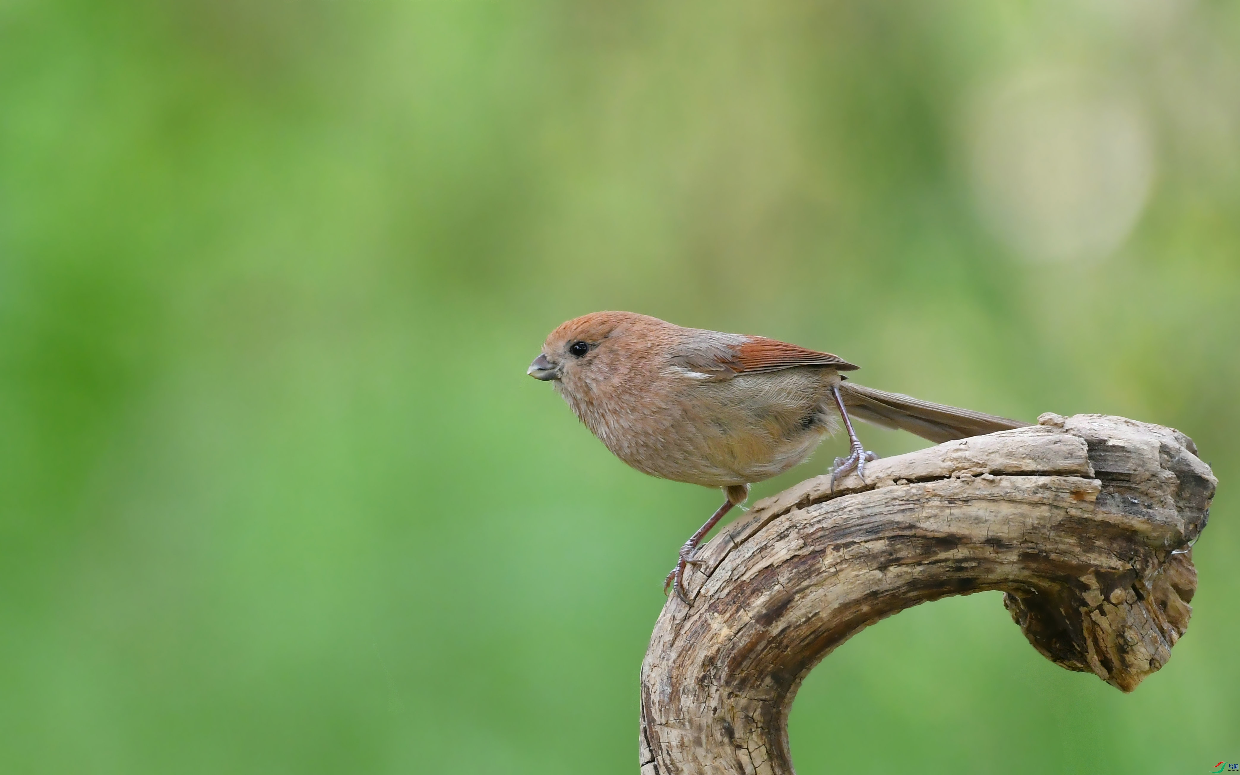 DSC_2113.JPG