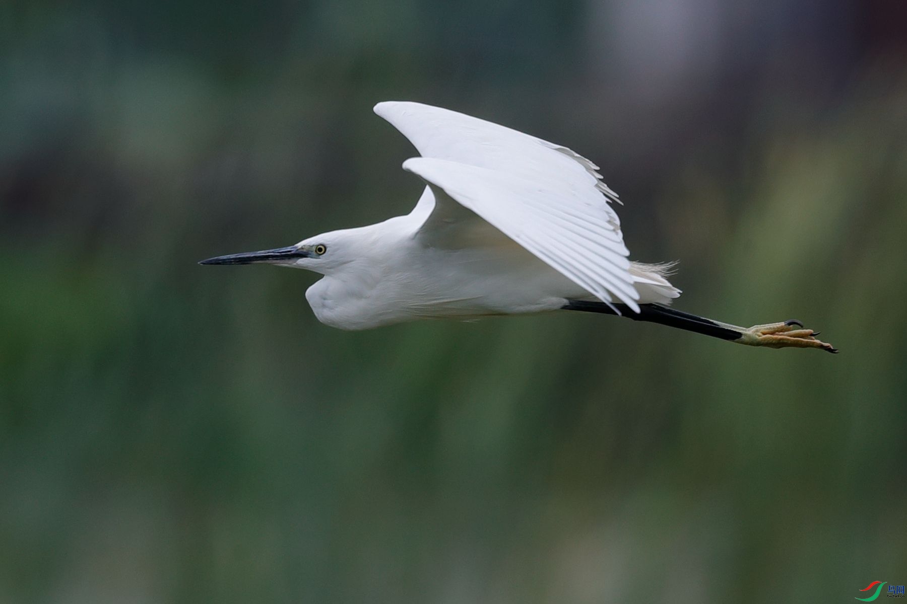ˮ��7