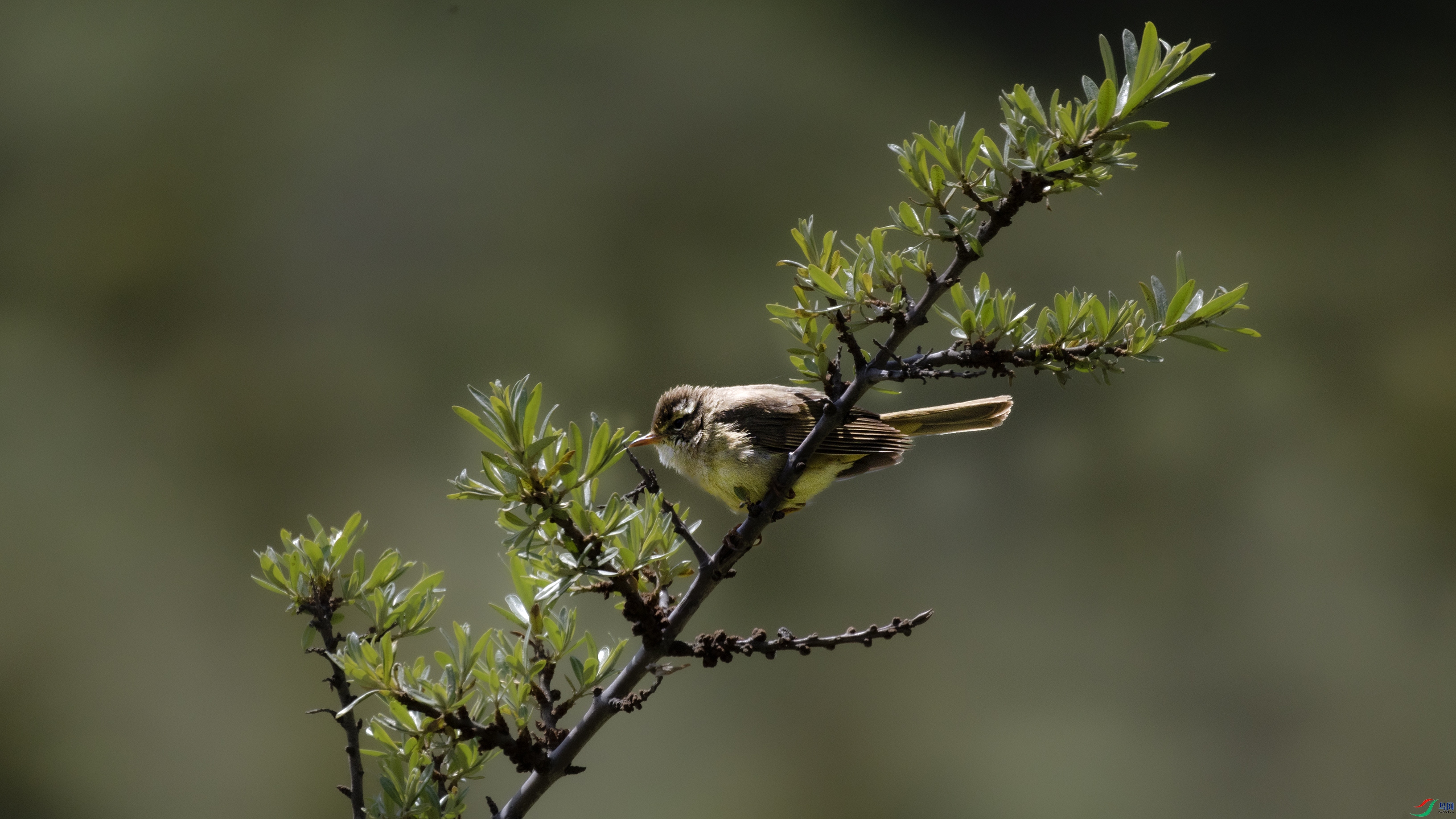 7X5A0721 ����111.jpg