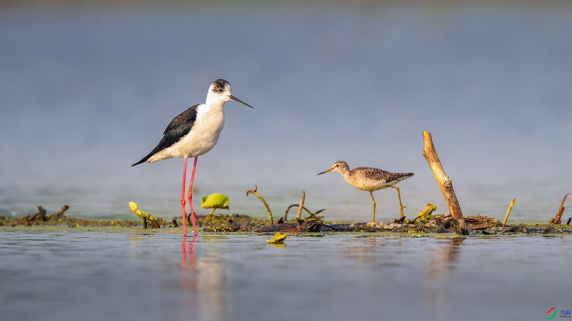 1_XXL8630-����ǿ-NR ����.jpeg