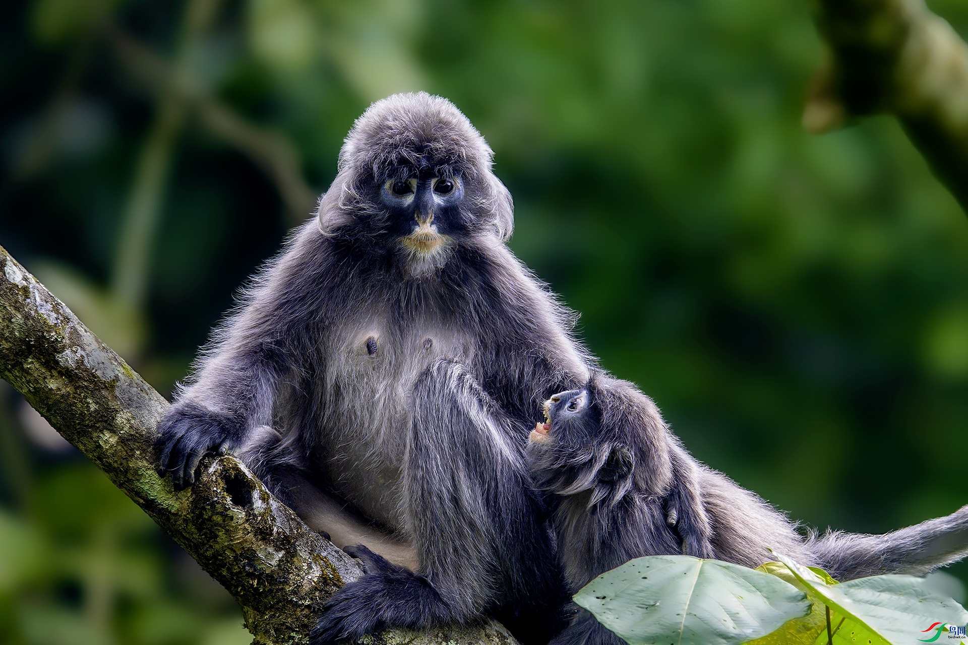 _DSC1844-NEF_DxO_DeepPRIMEXD ����.jpg