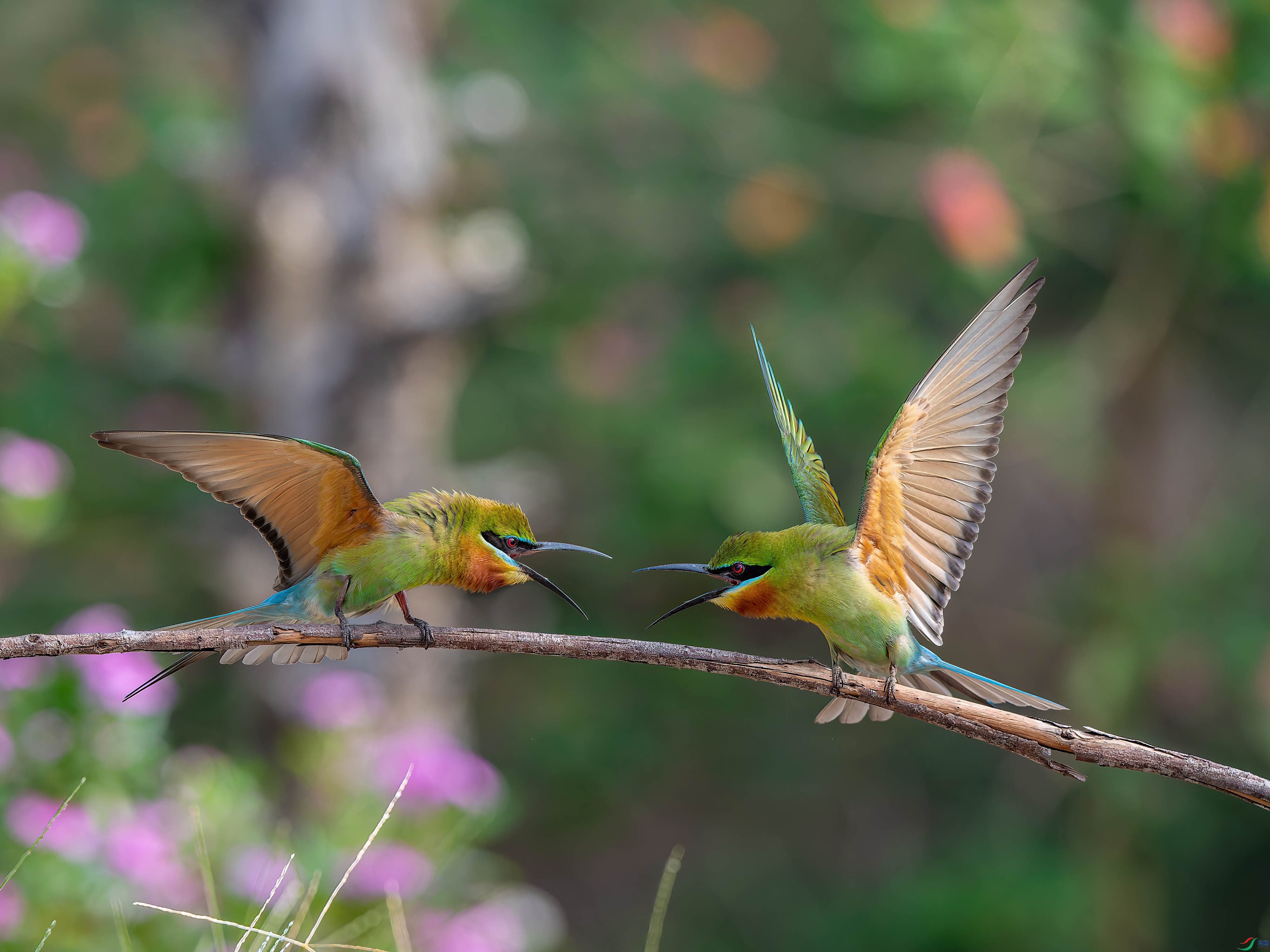 DSC_5127-.jpg