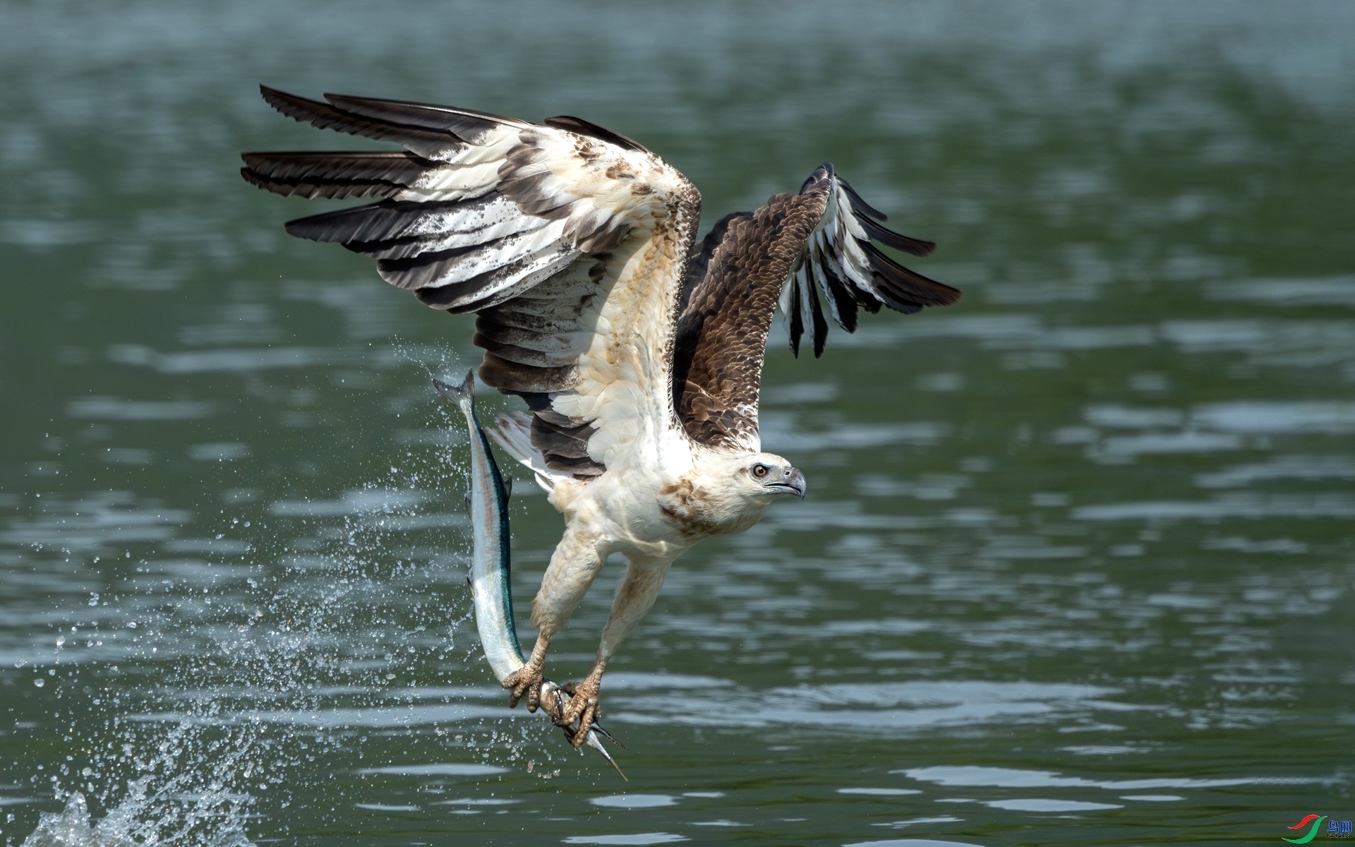 5.13 �����ʦ��Ʒ  ˲��  �ٻ�2024��5��13����Ӱʦ��ҳ����.jpg