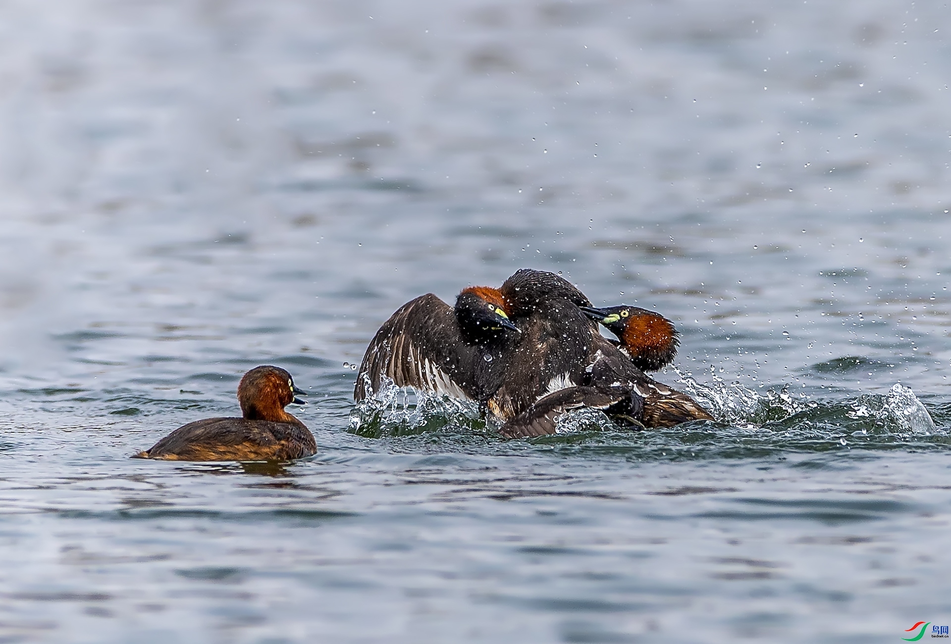 5.13 ��Ӱ������ʦ��Ʒ  ��Ź(3)  �ٻ�2024��5��13��������ҳ����.jpg