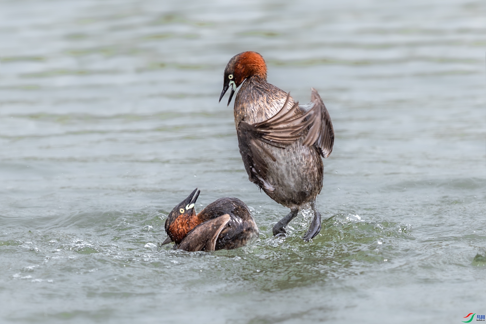 5.14 ��Ů��·����ʦ��Ʒ  С�������������  �ٻ�2024��5��14�հ�����ҳ����.jpg