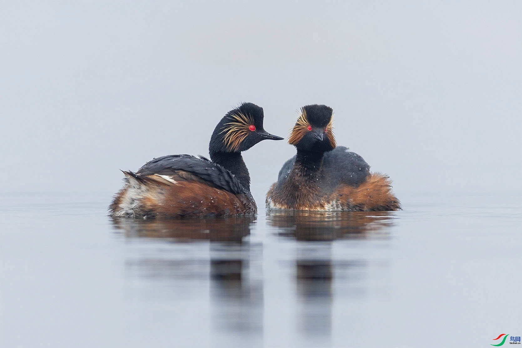 5.14 �����ʦ��Ʒ  �ھ��f  �ٻ�2024��5��14����Ӱʦ��ҳ����.jpg