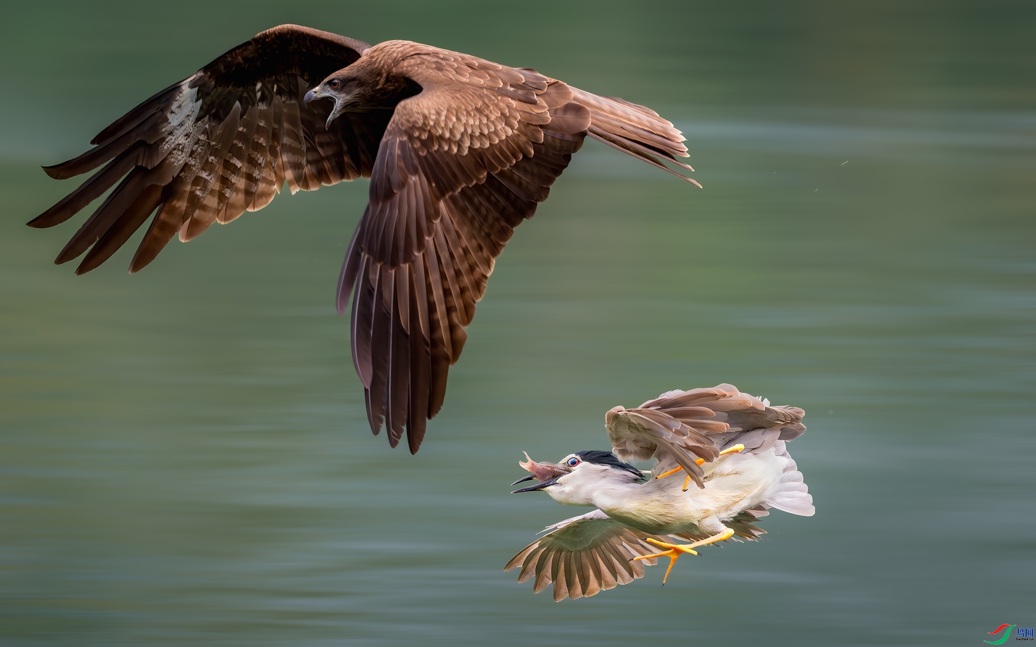 5.14 ����Ӱ��ʦ��Ʒ  ����  �ٻ�2024��5��14����Ӱʦ��ҳ����.jpg