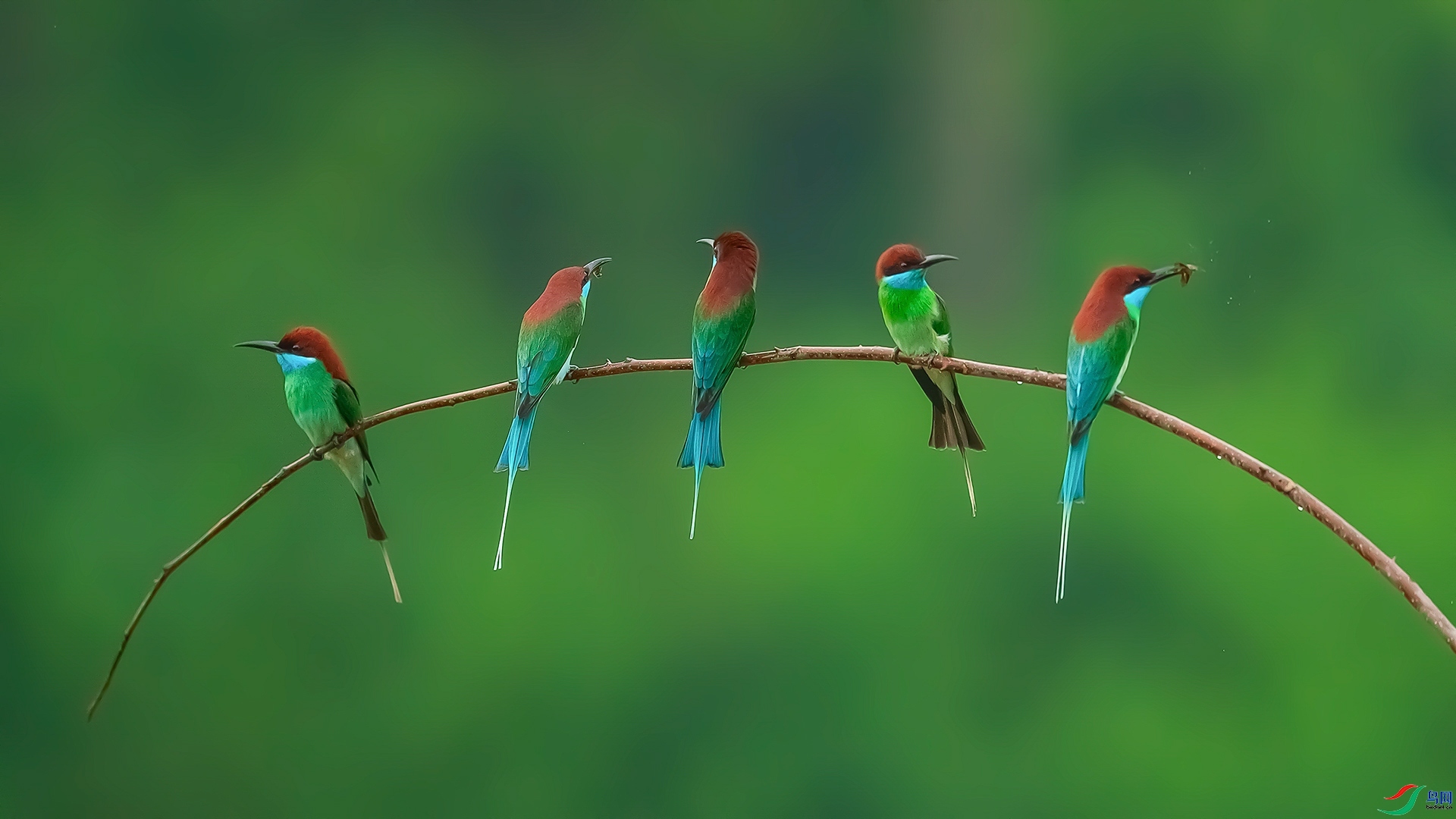 5.15 ��������ʦ��Ʒ  �����仢  �ٻ�2024��5��15�ջ�Ա��ҳ����.jpg