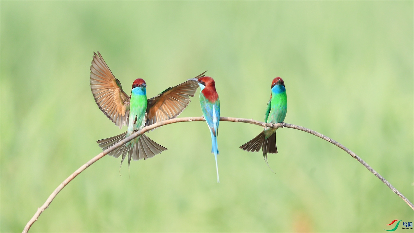 ΢��ͼƬ_20240516211636.jpg