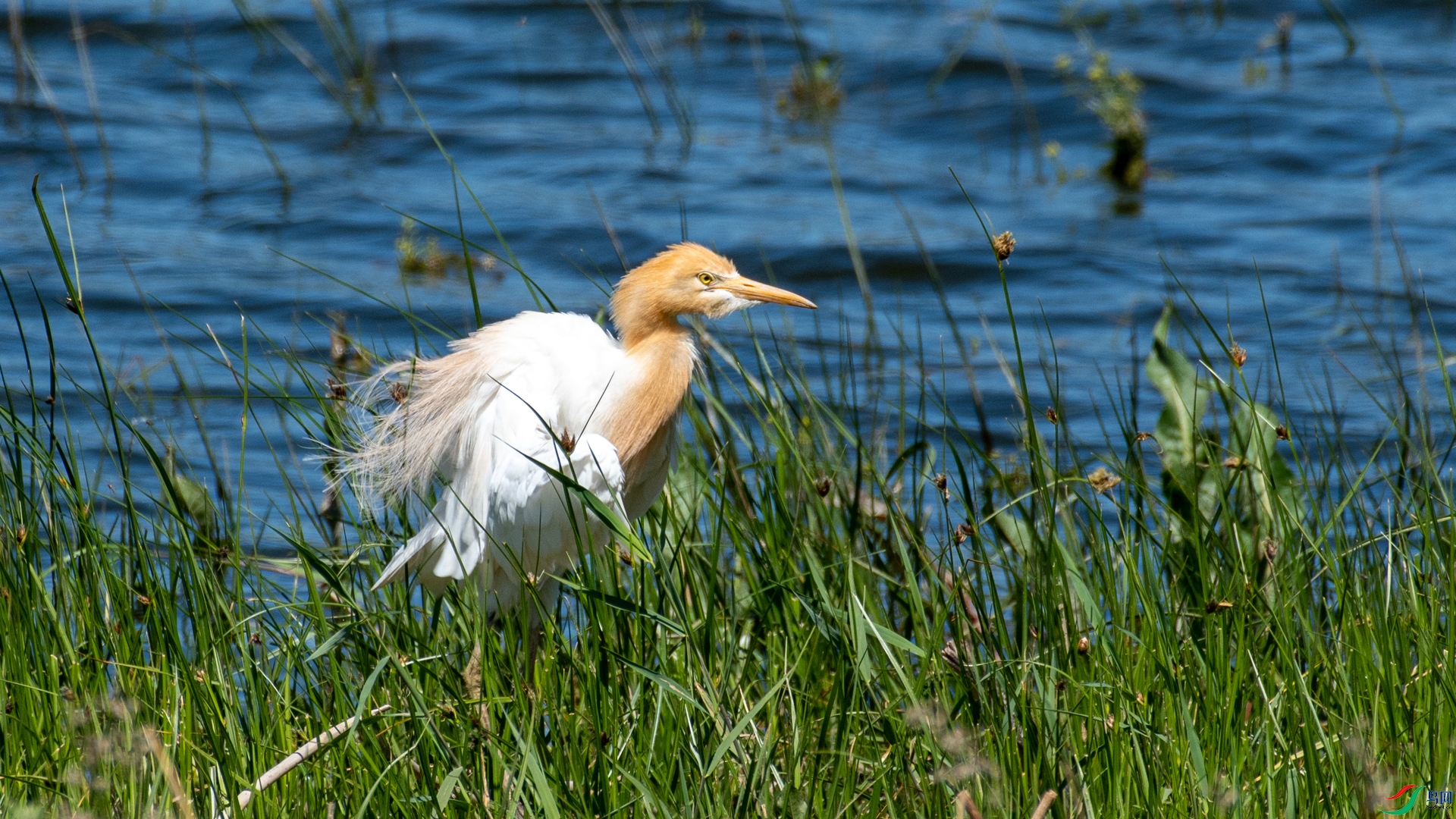 _DSC8498.jpg