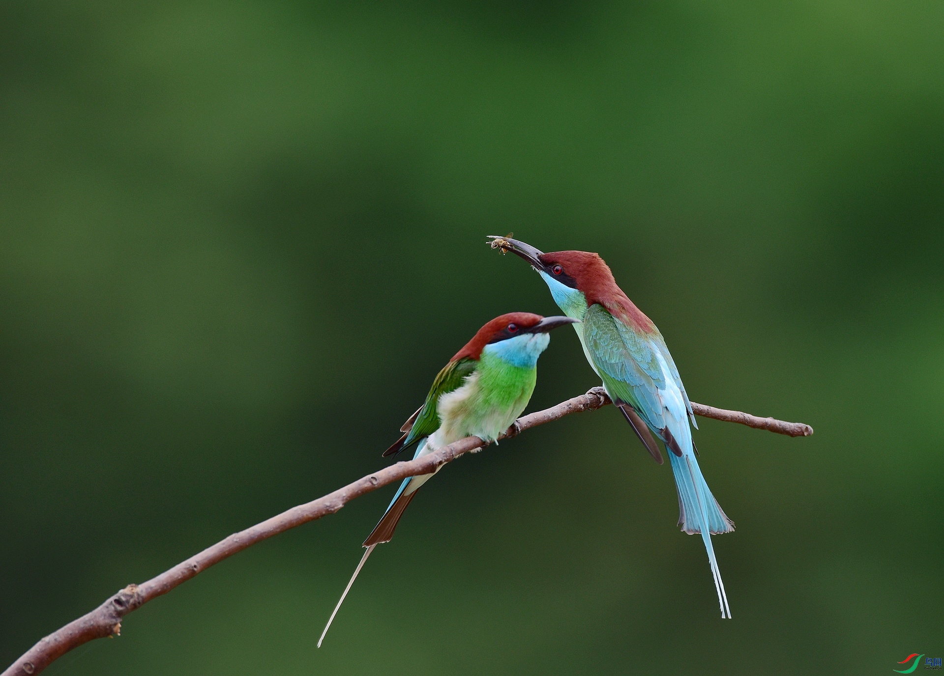 D8I_0416.jpg