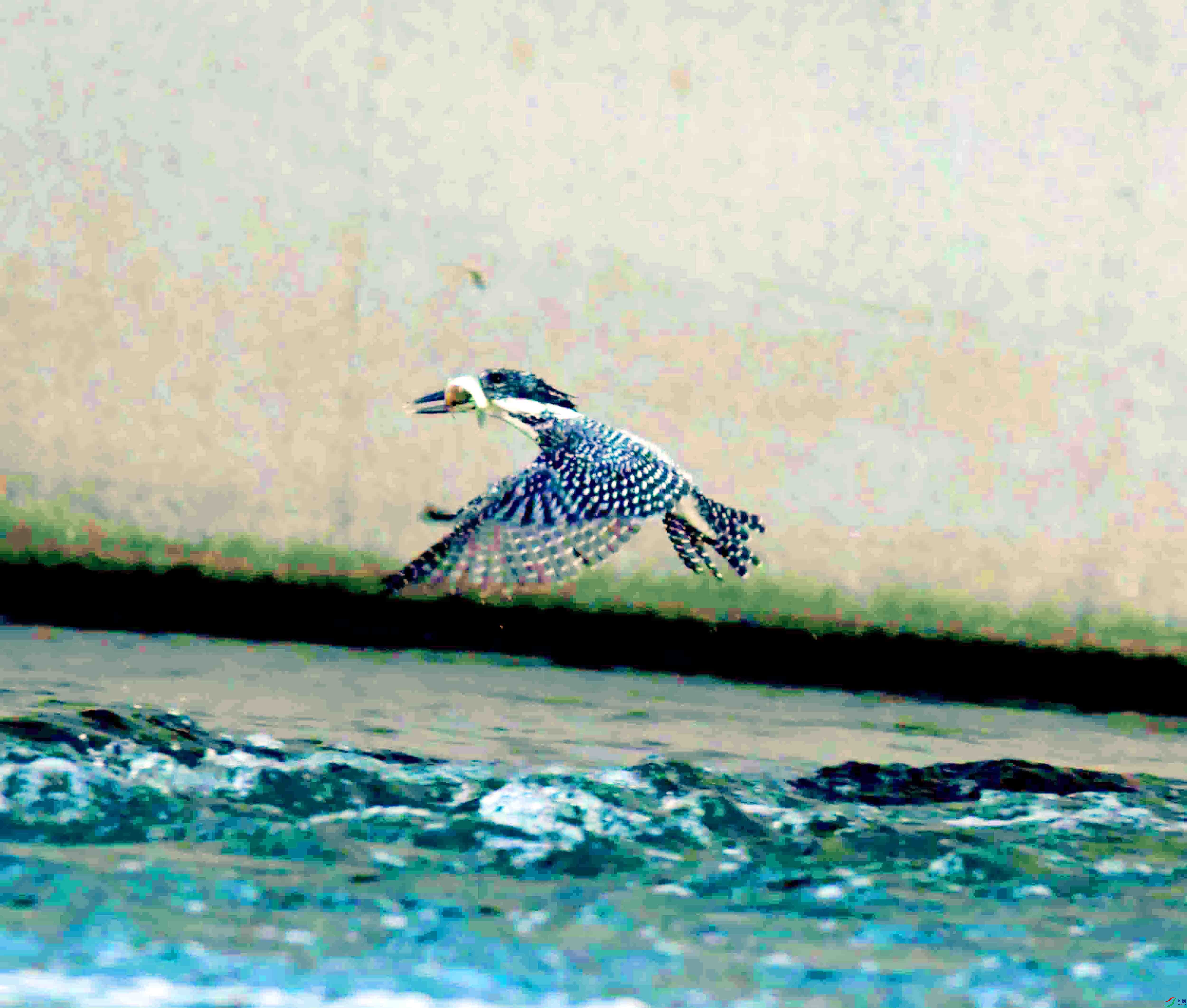 DSC_2708.JPG