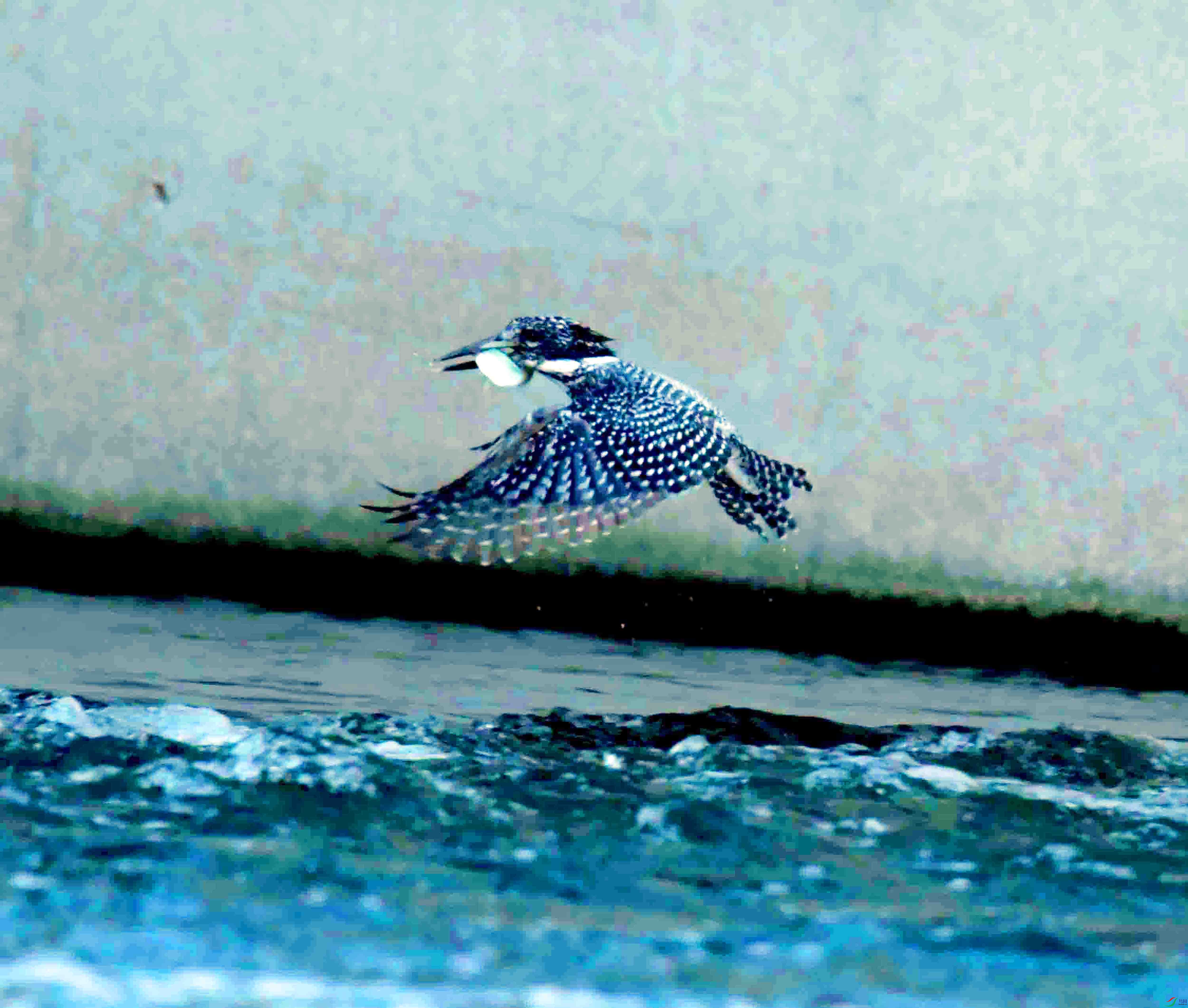 DSC_2707.JPG