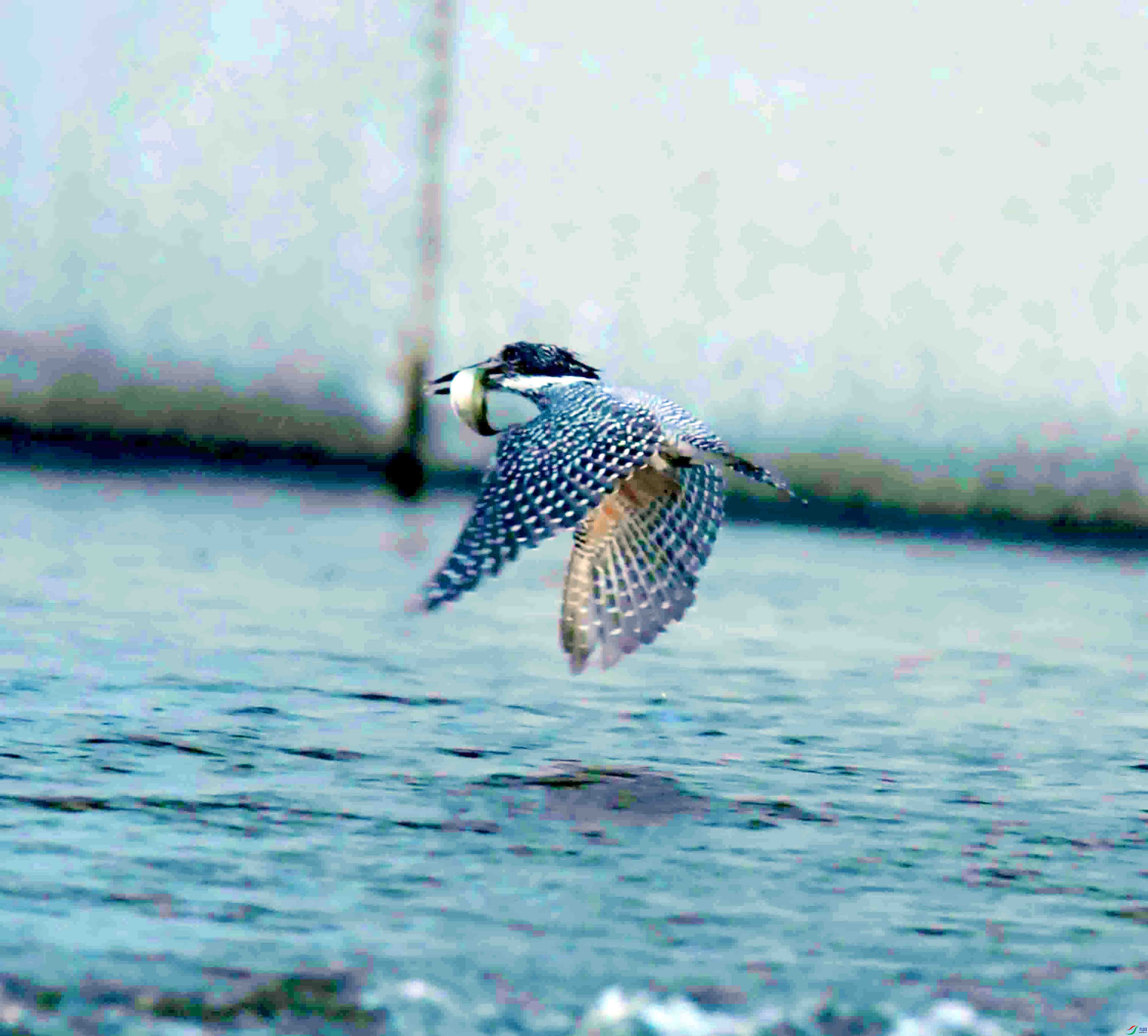 DSC_2714.JPG
