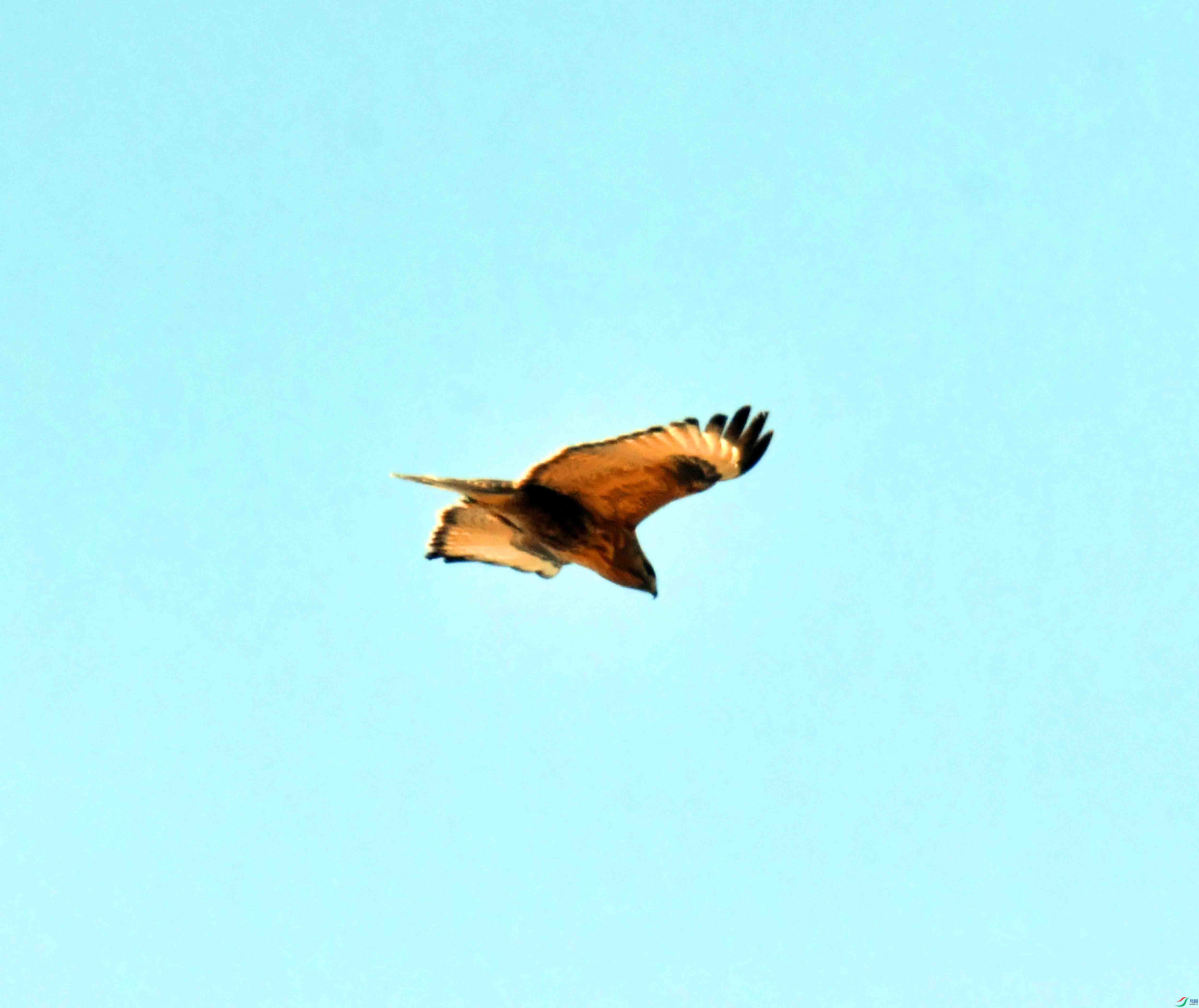DSC_1271.JPG
