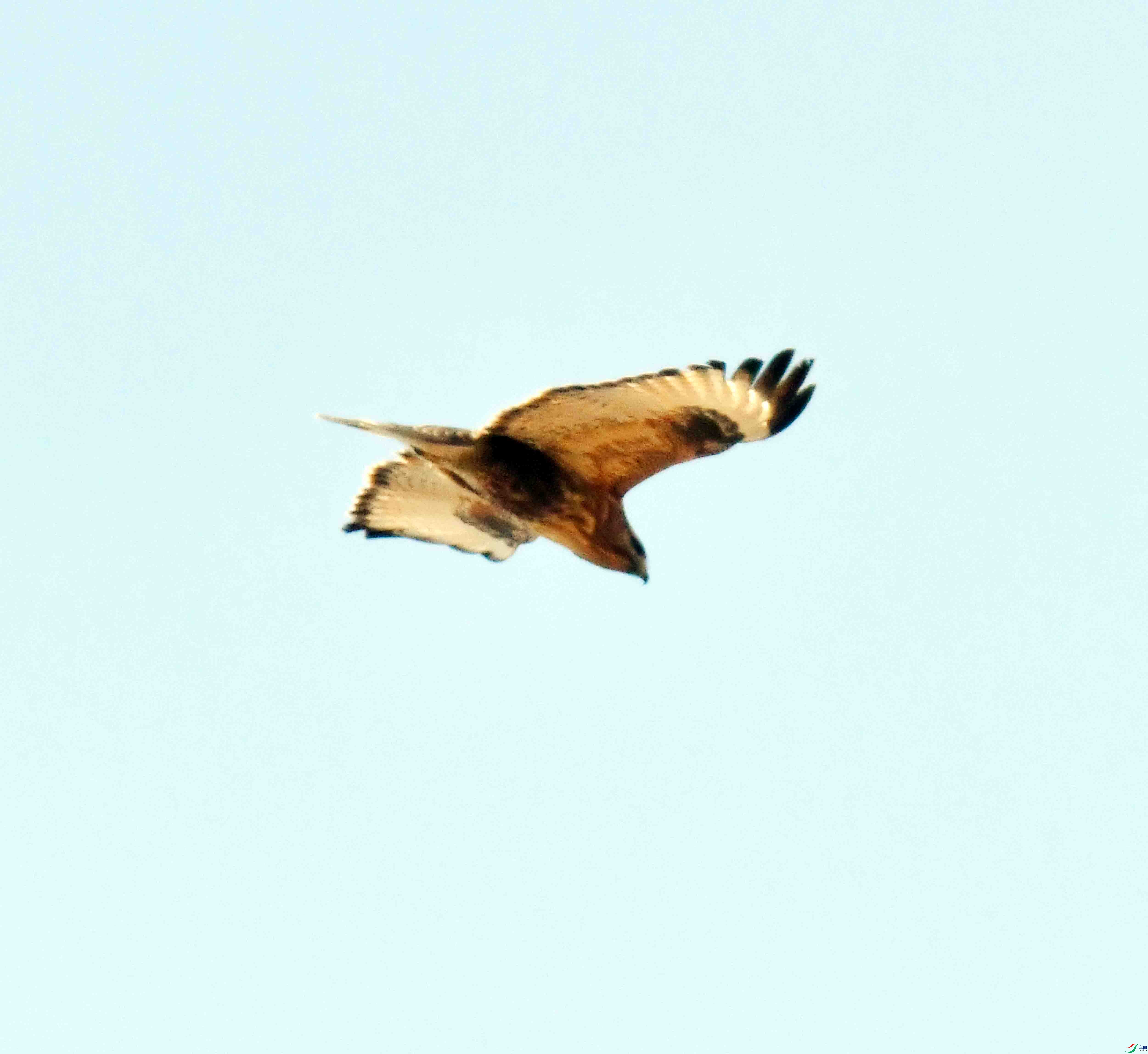 DSC_1270.JPG