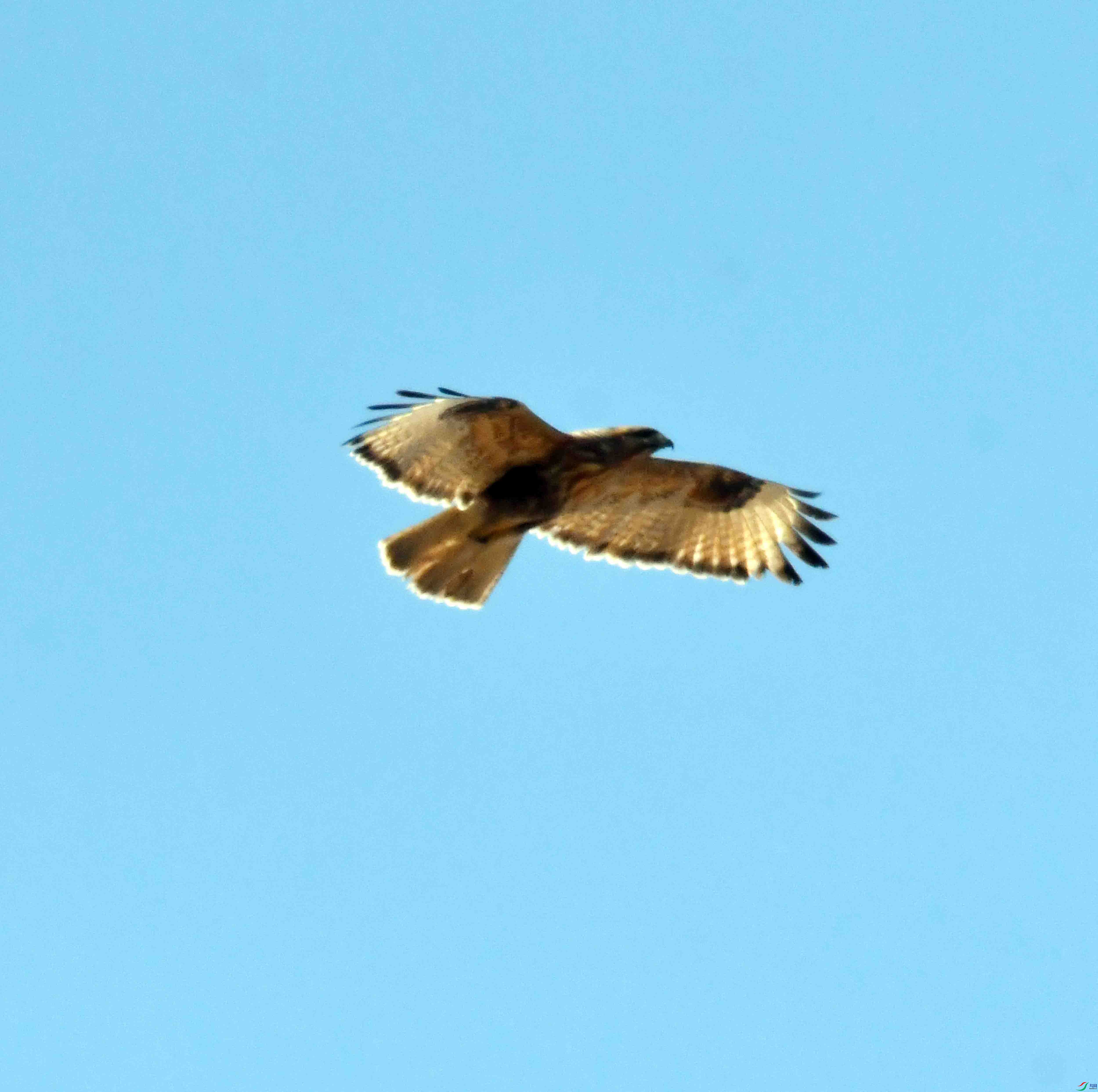 DSC_1272.JPG