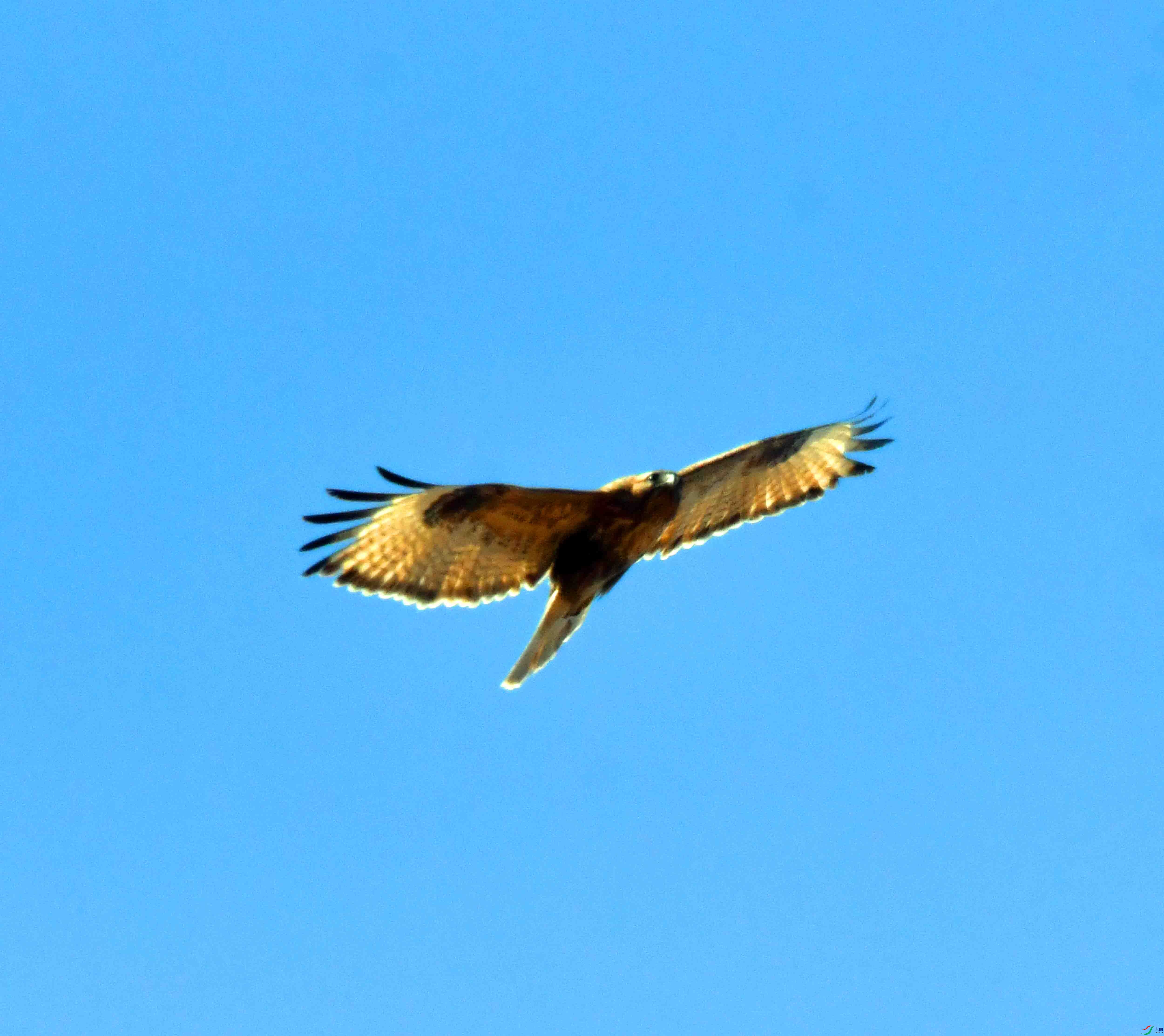 DSC_1274.JPG