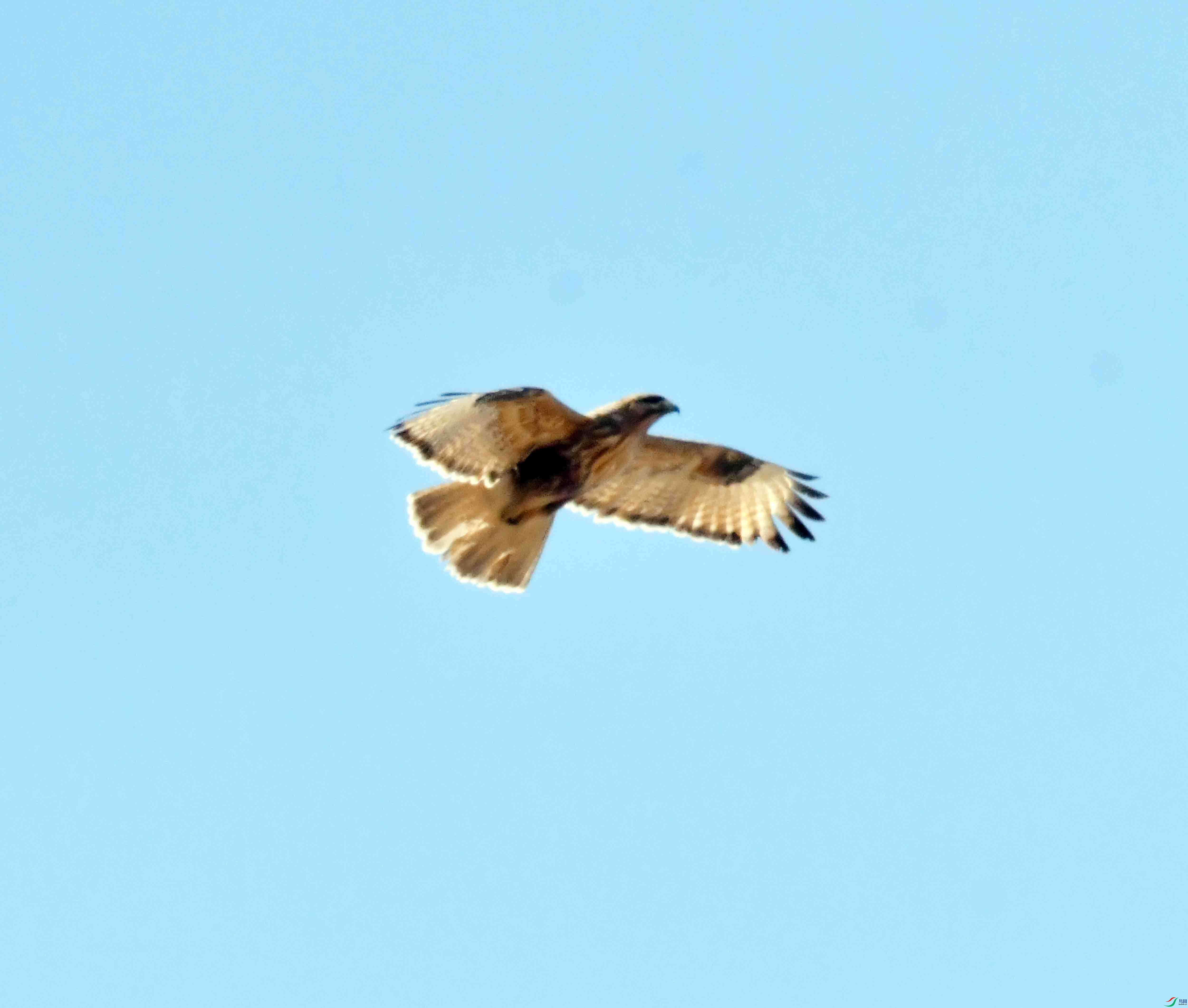 DSC_1273.JPG
