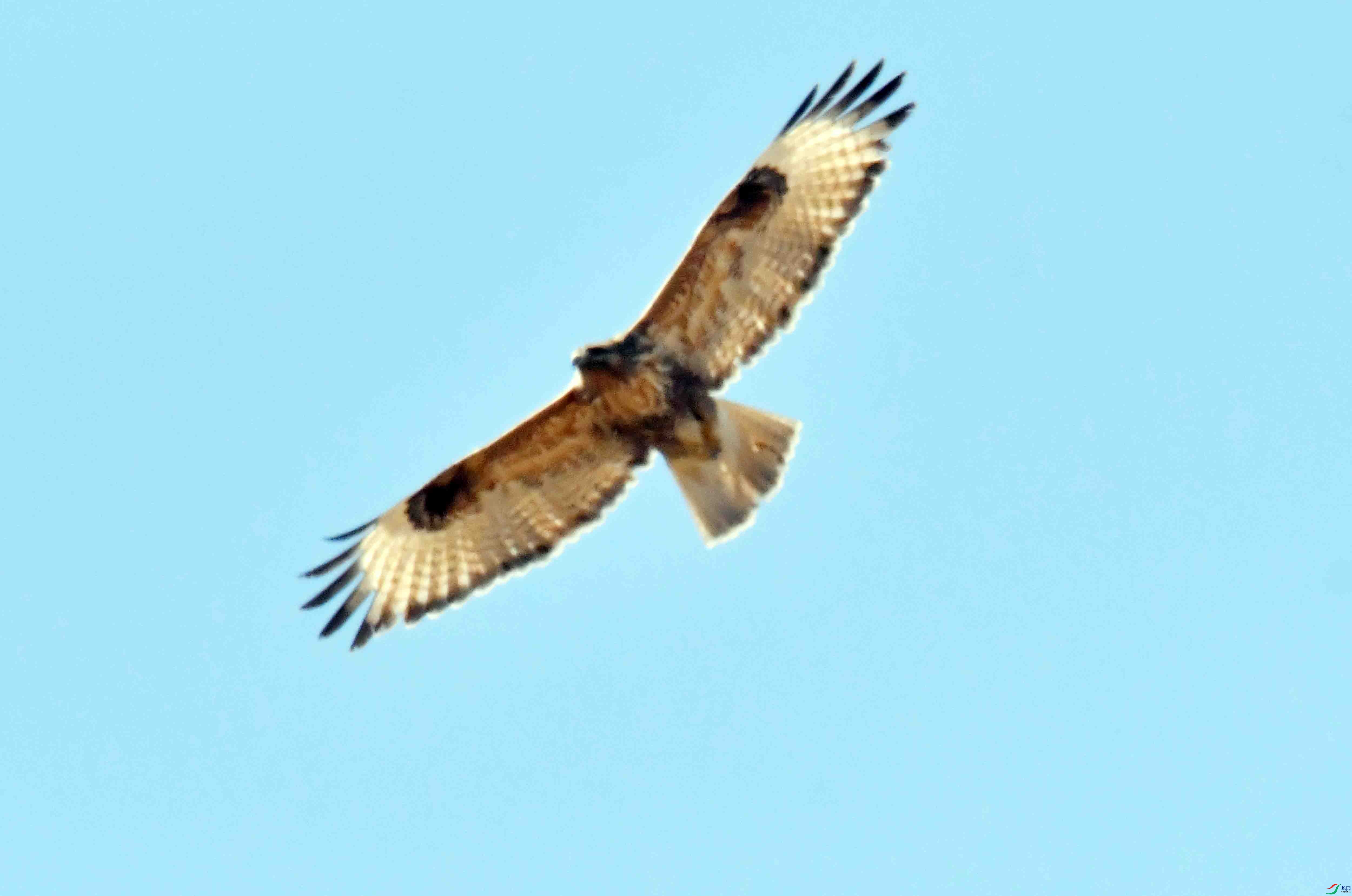 DSC_1277.JPG