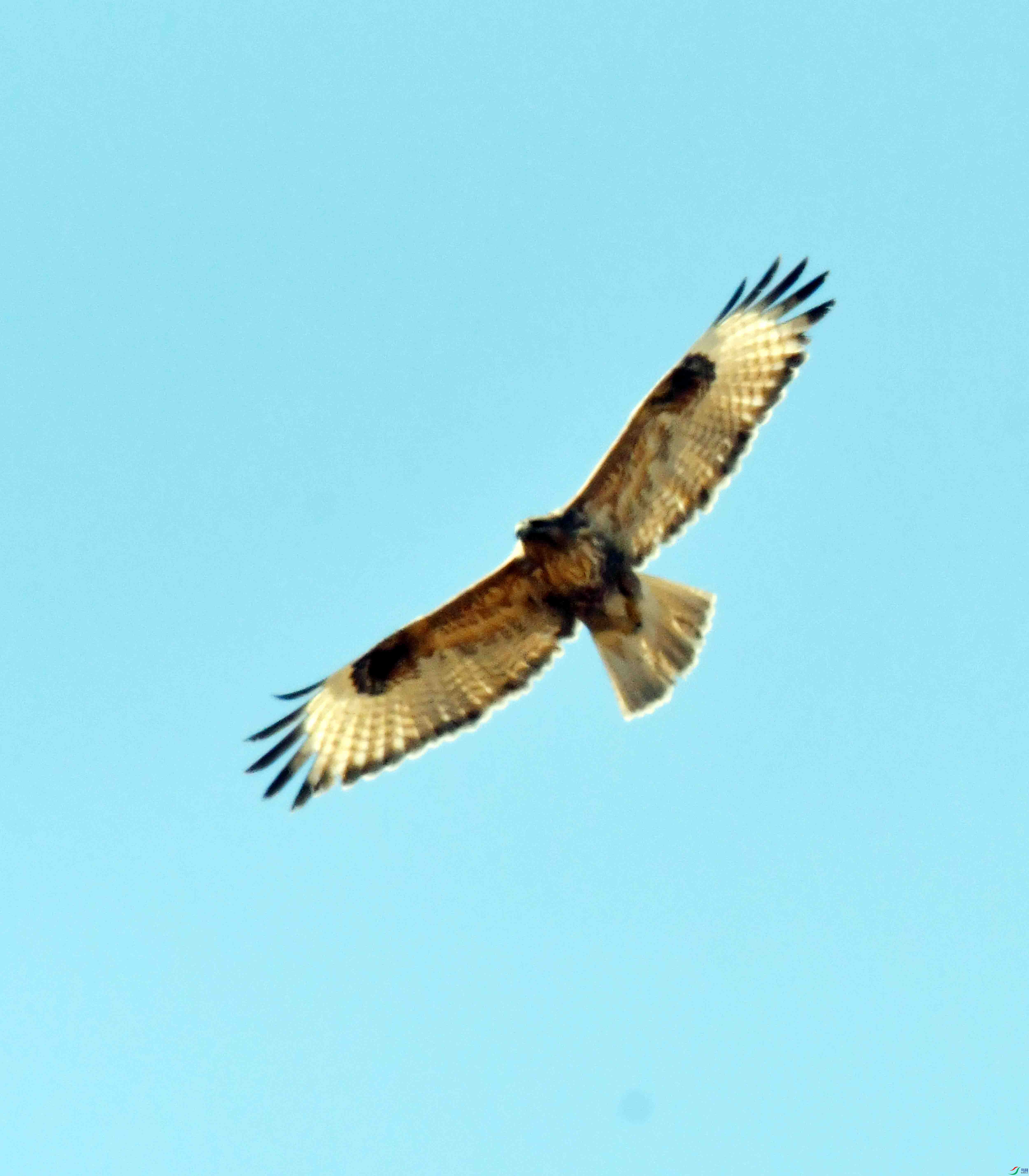 DSC_1276.JPG