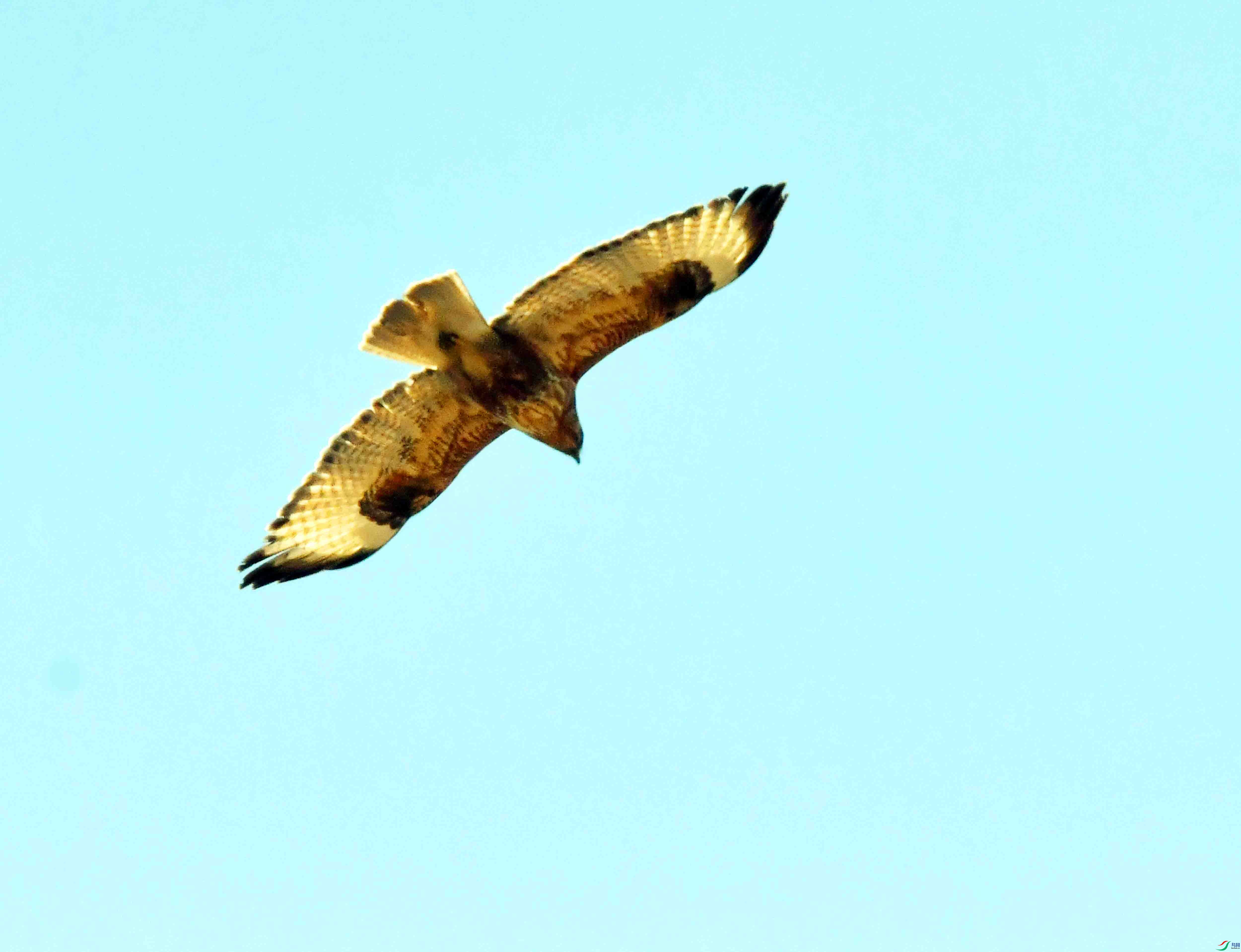 DSC_1278.JPG