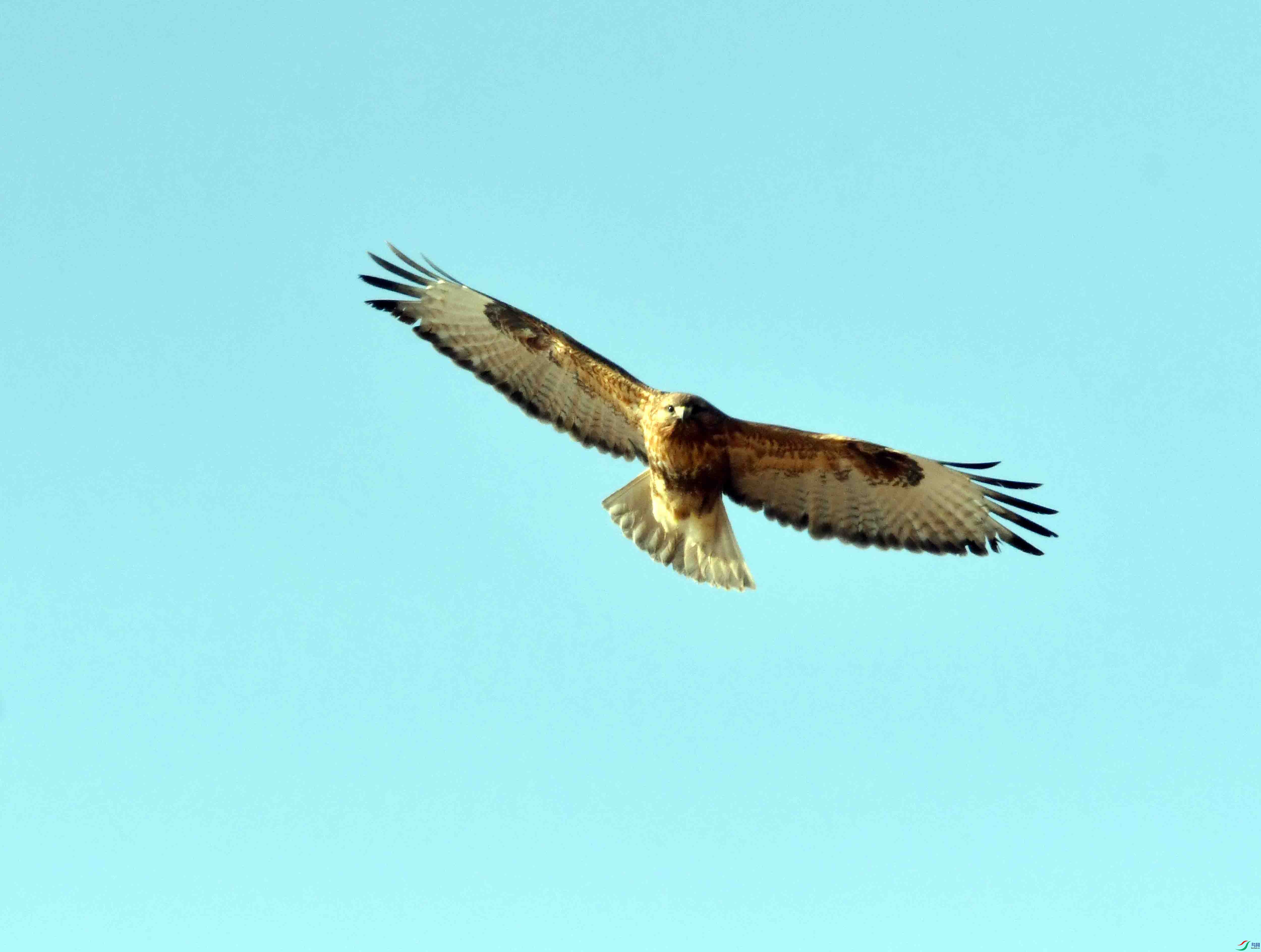 DSC_3139.JPG