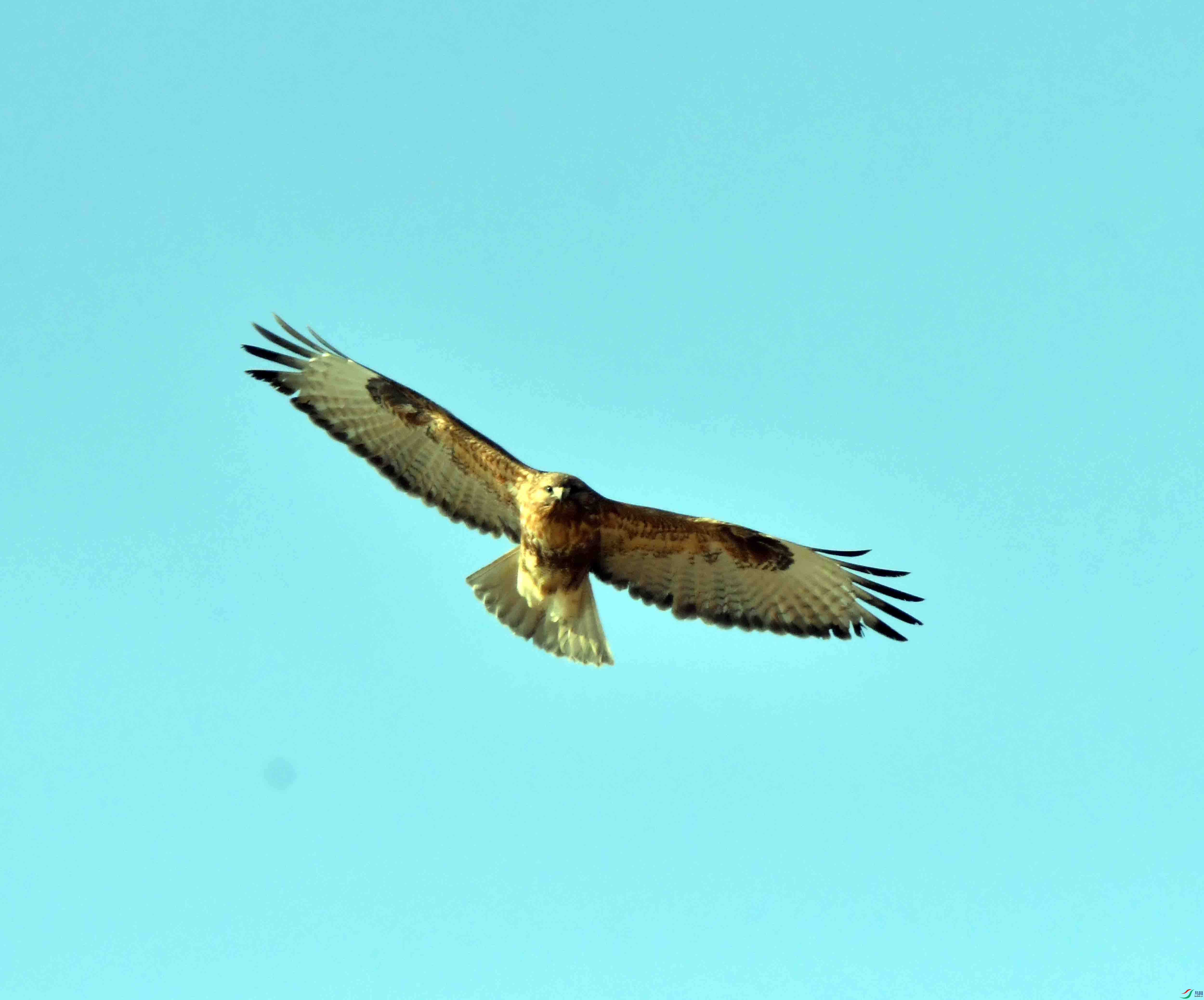 DSC_3140.JPG
