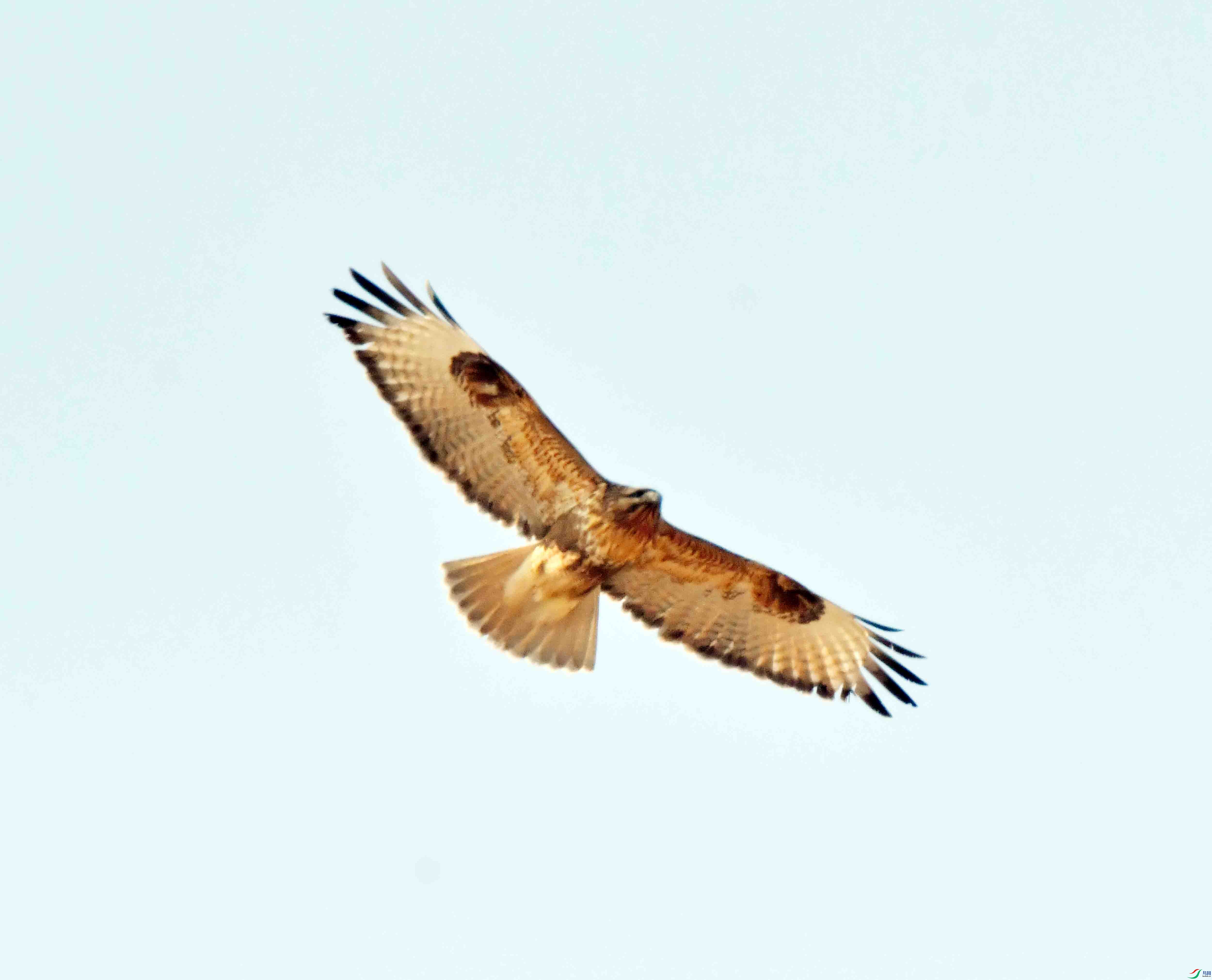 DSC_3142.JPG
