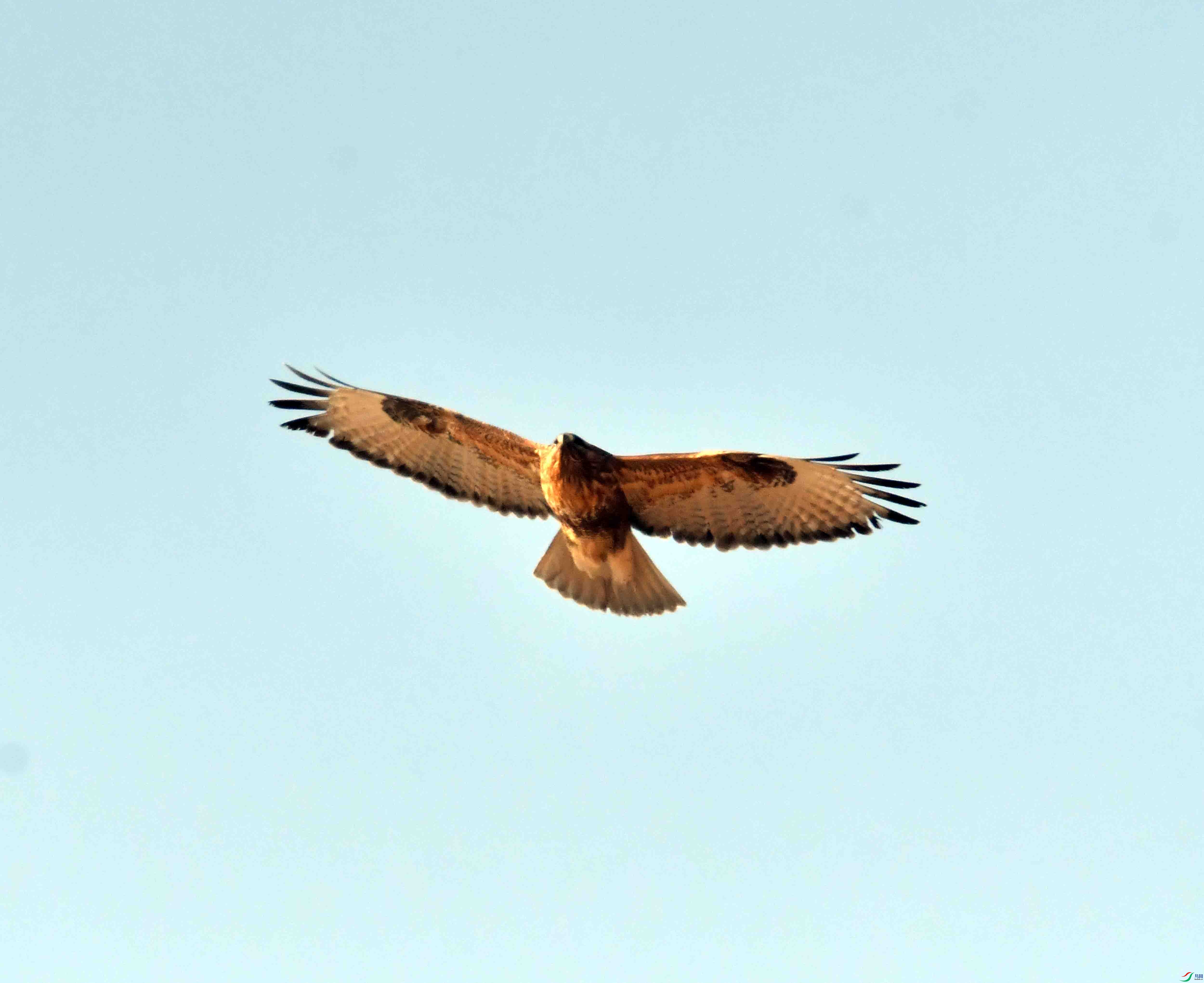 DSC_3156.JPG