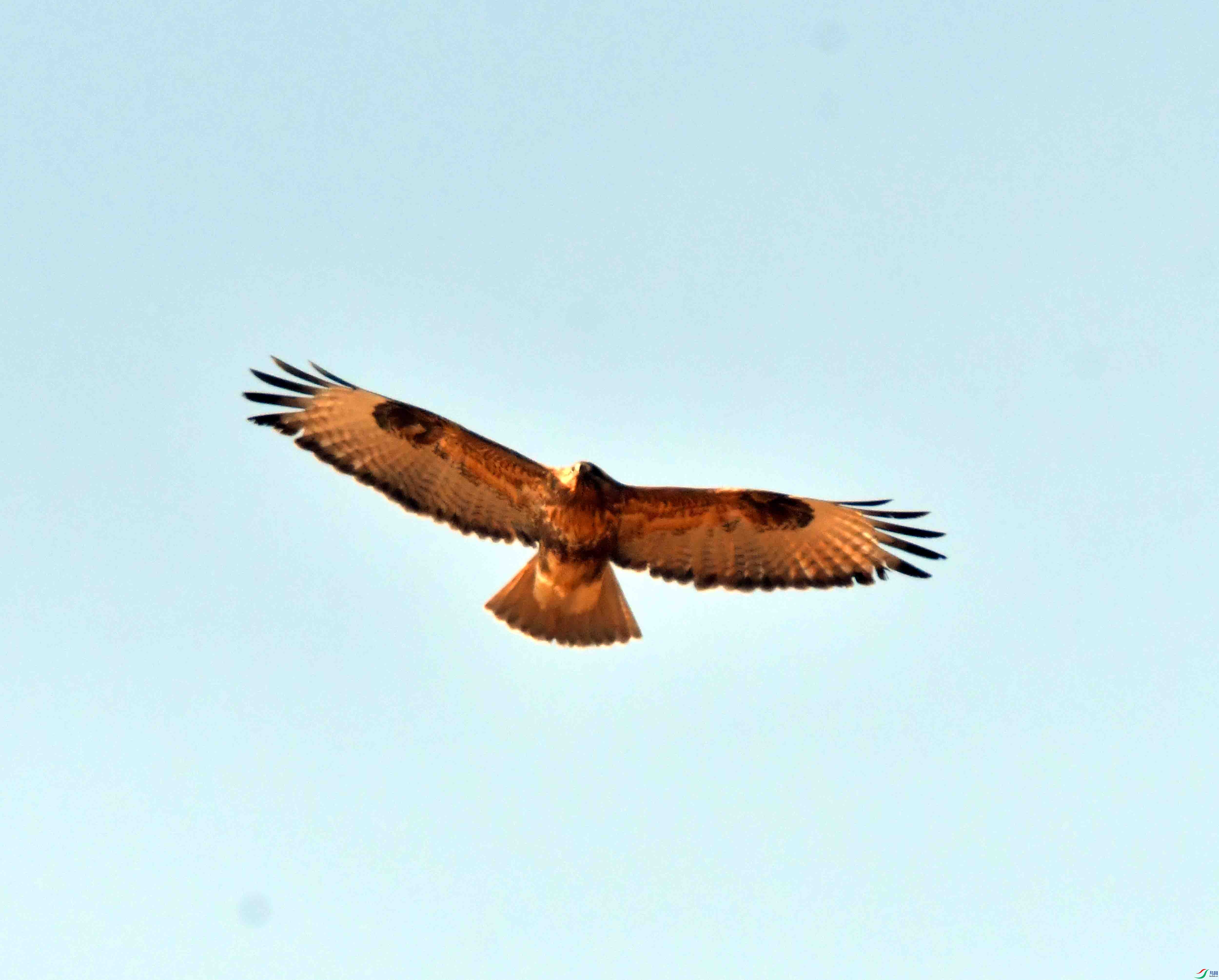 DSC_3158.JPG
