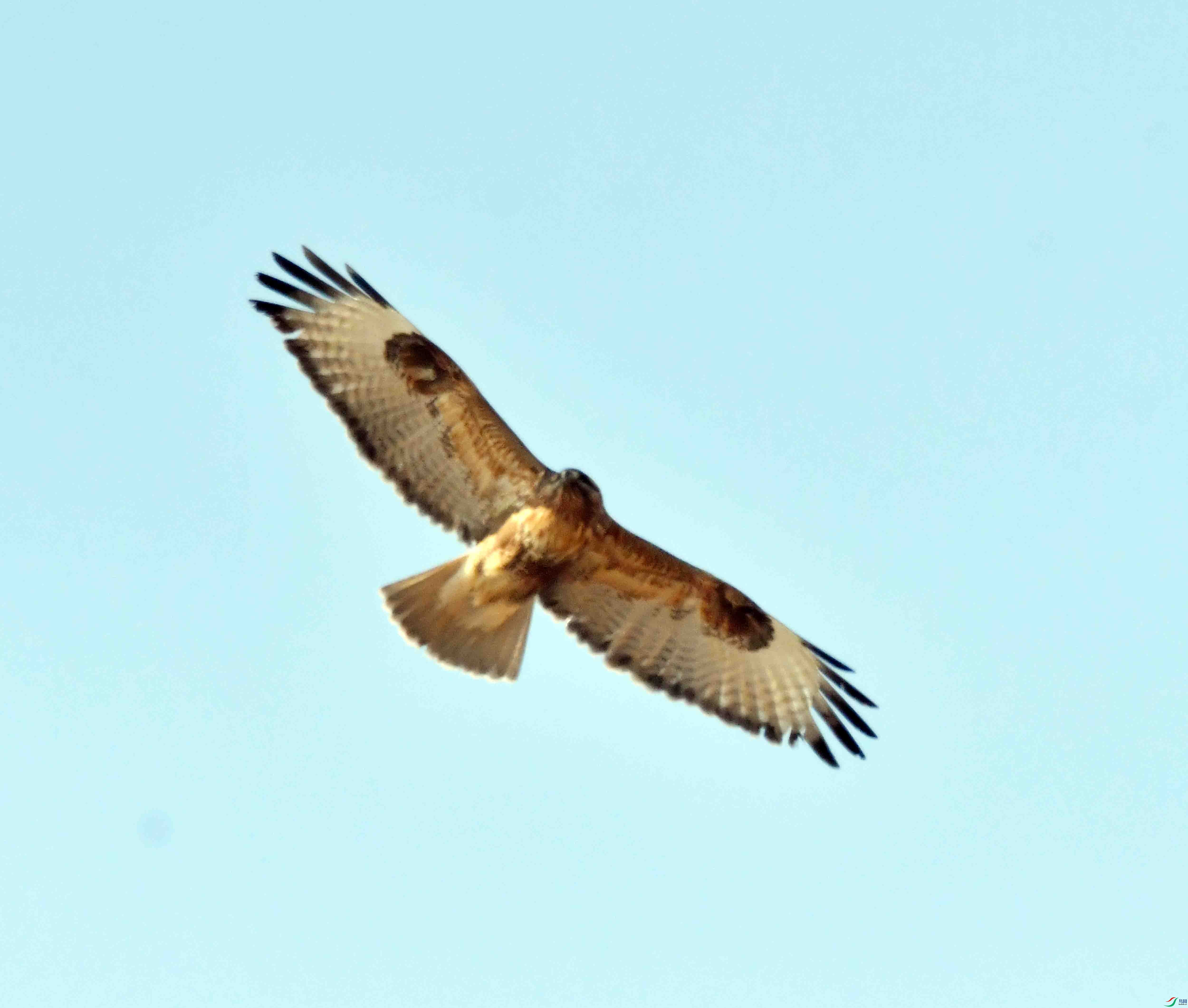 DSC_3160.JPG