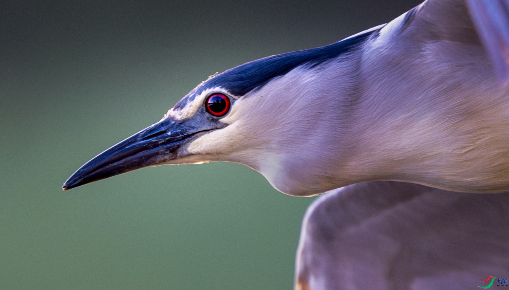 �����е�����